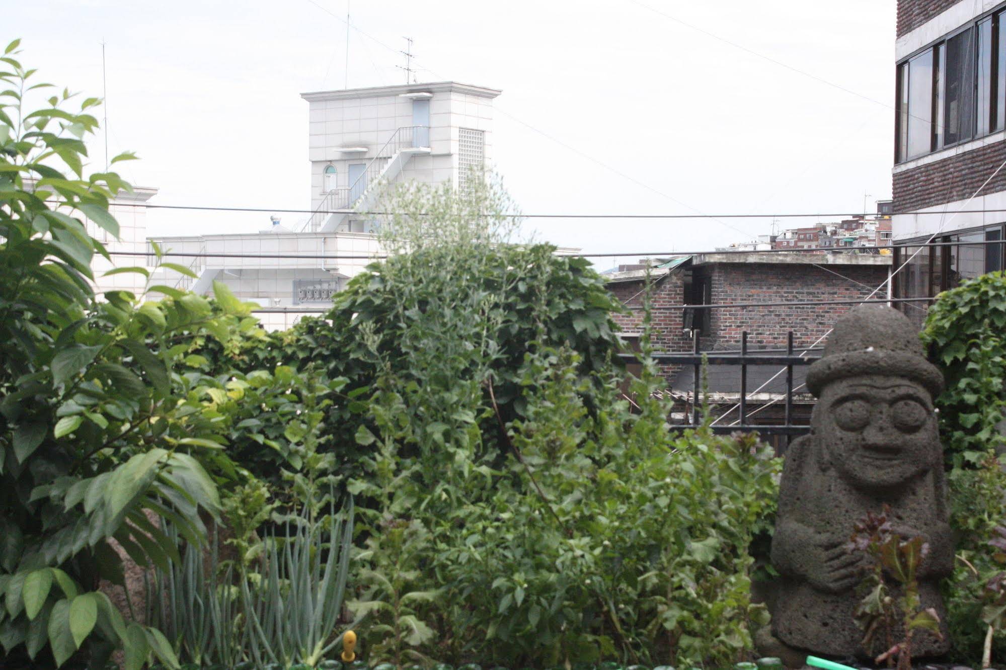Itaewon Backpackers