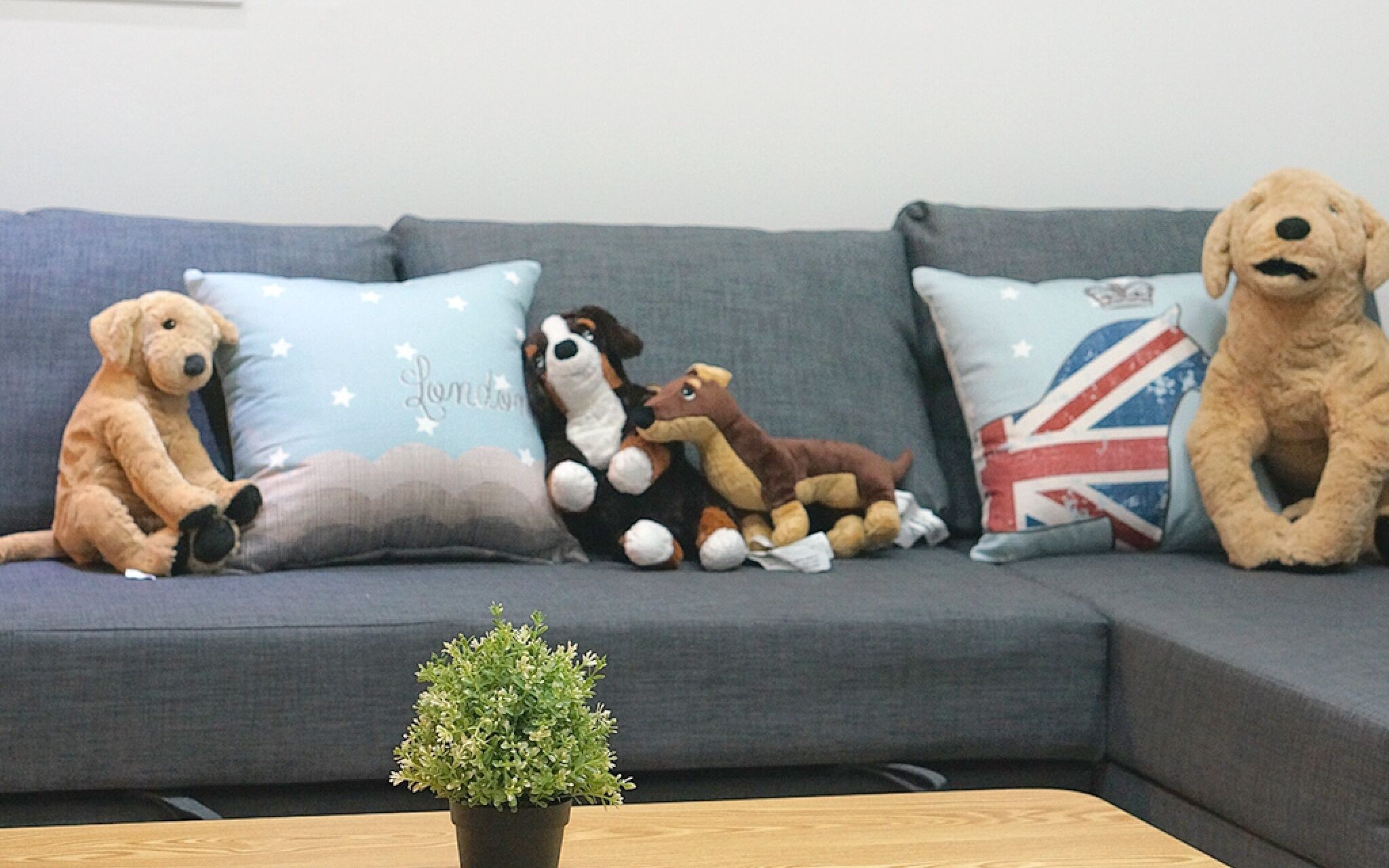 Itaewon Gaesujak Guest House