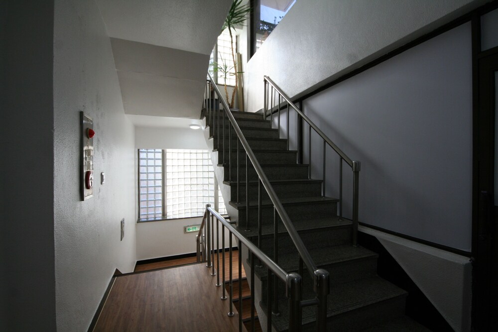 Ivy House