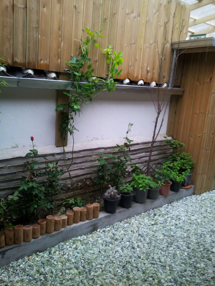 Kimchi Guest House