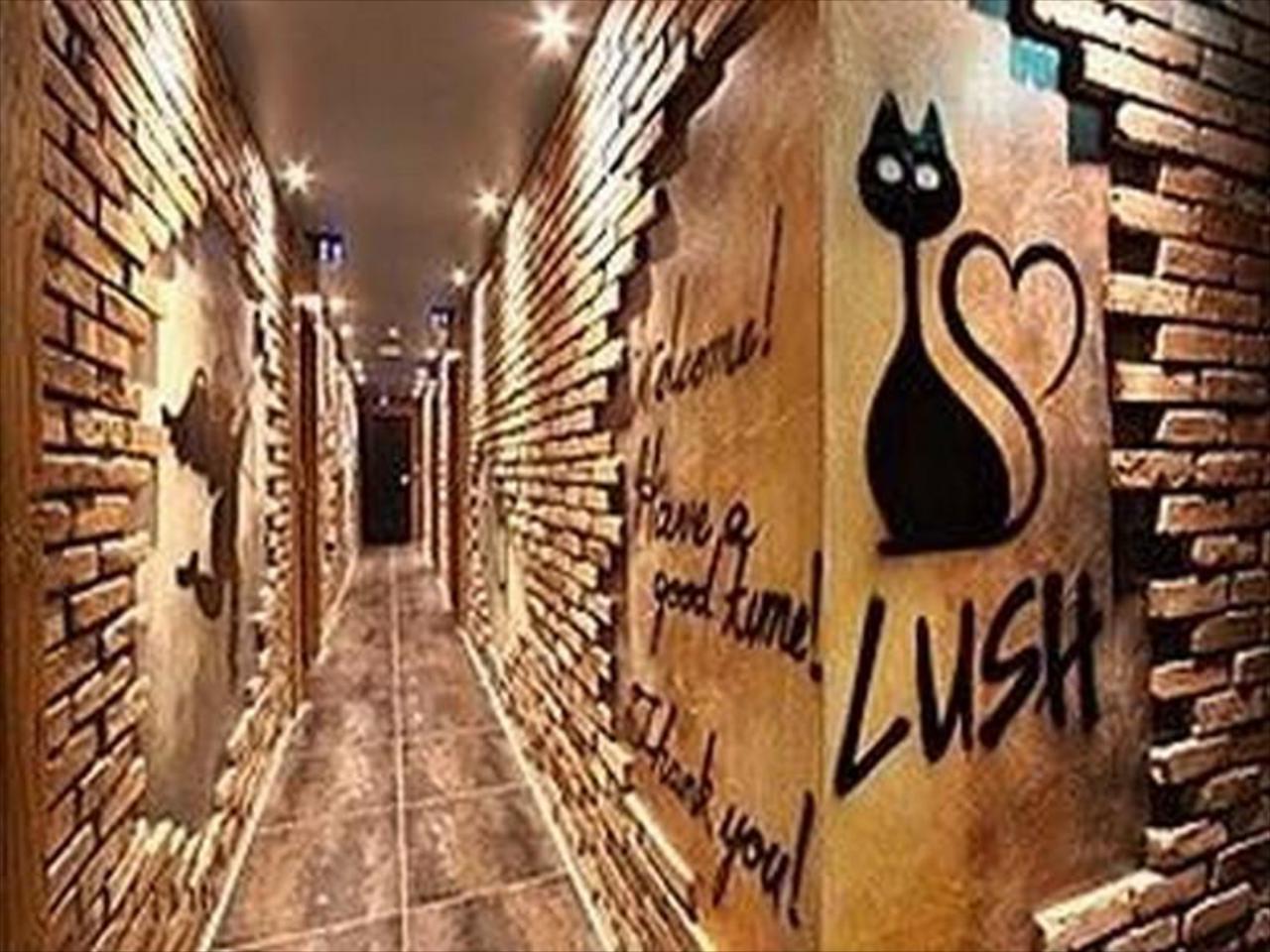 Lush Hotel Hwagok