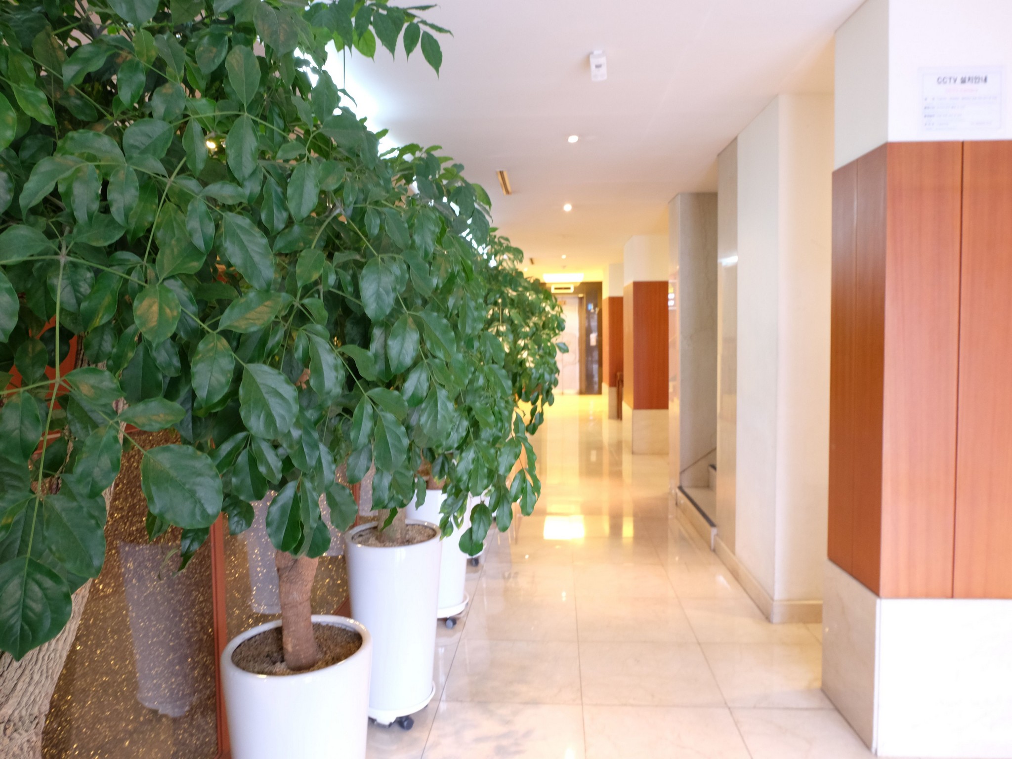 New Chonji Hotel