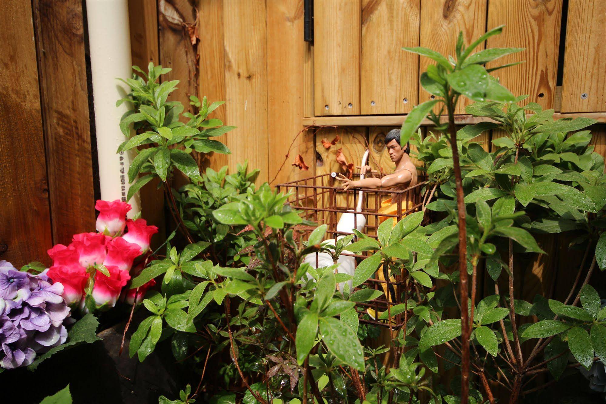 Ohbok Guesthouse