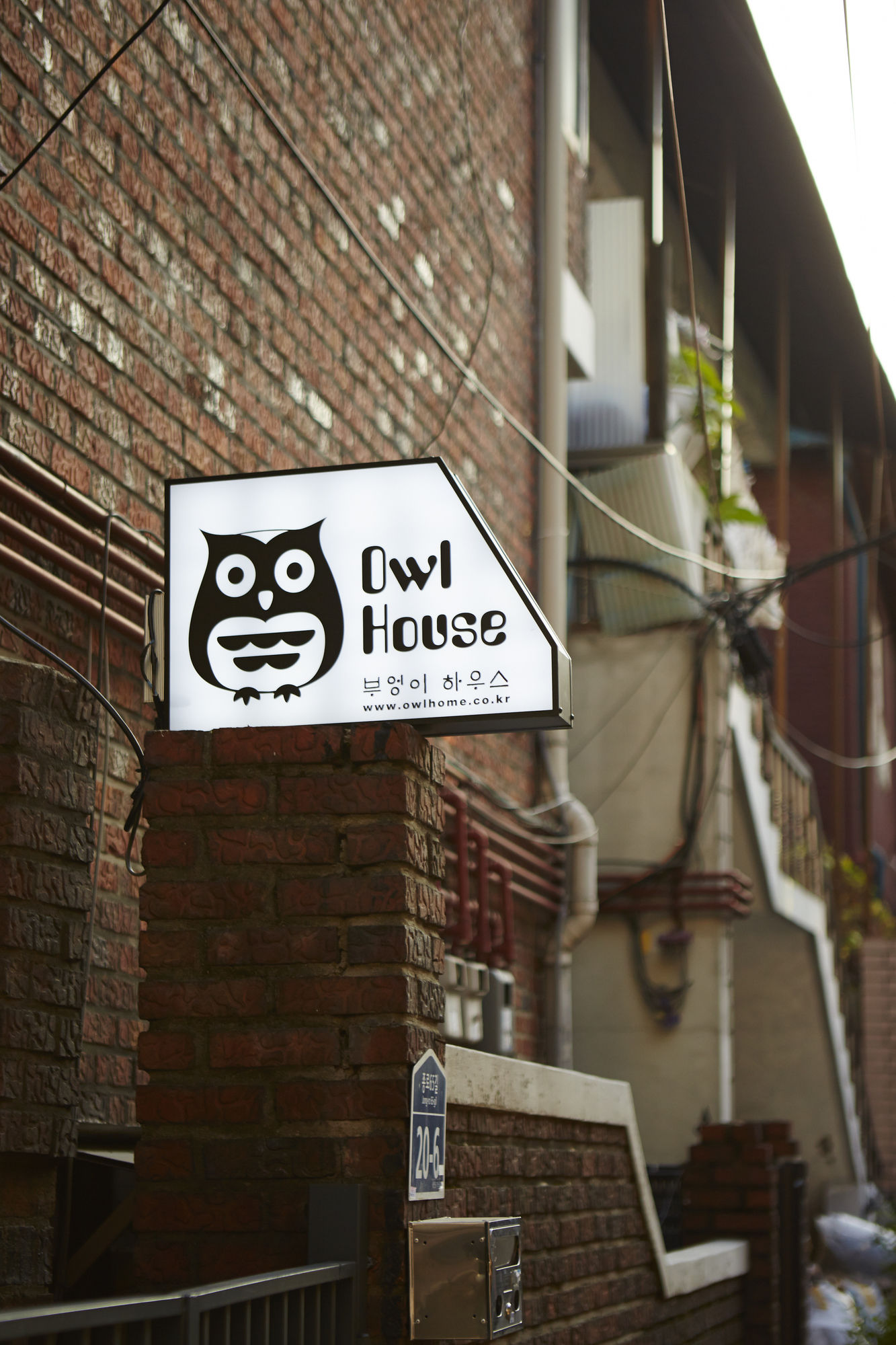 Owl Guesthouse Hostel