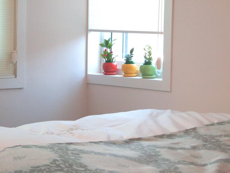 Park Avenue Guest house