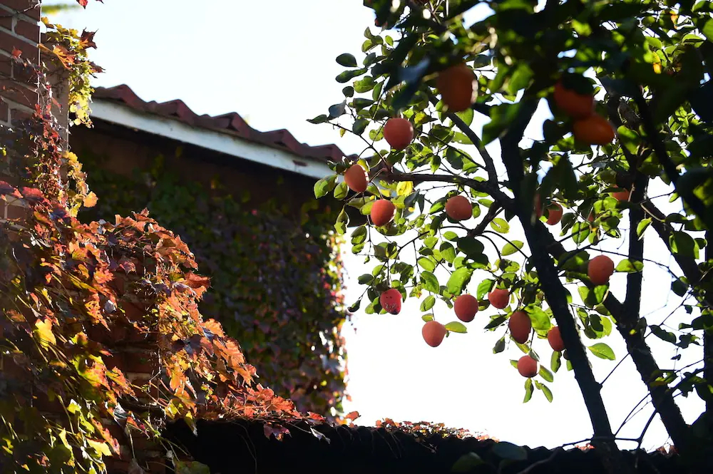 Photo Park Guest House