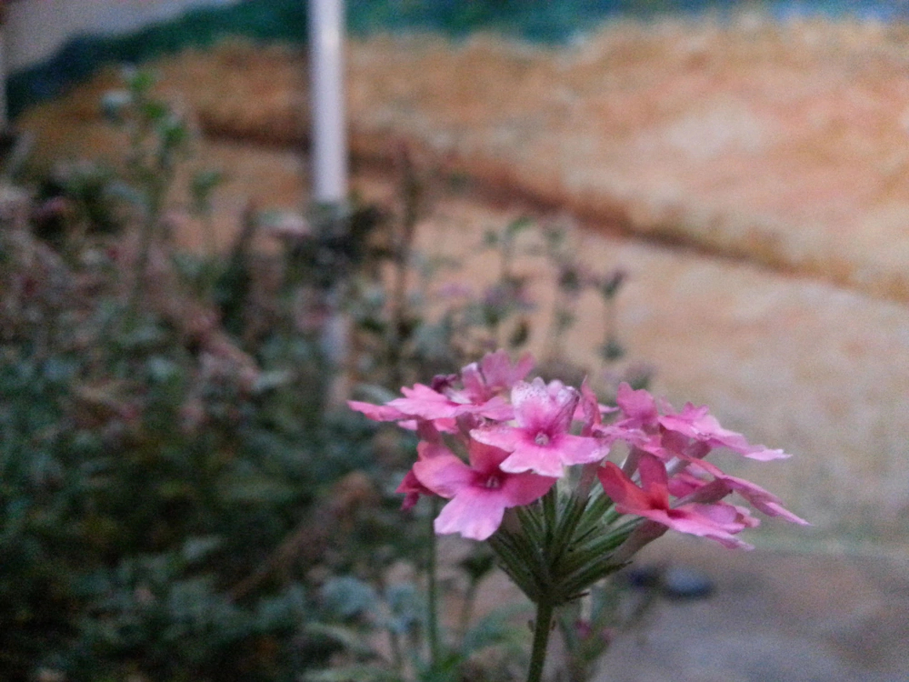 PungKyung