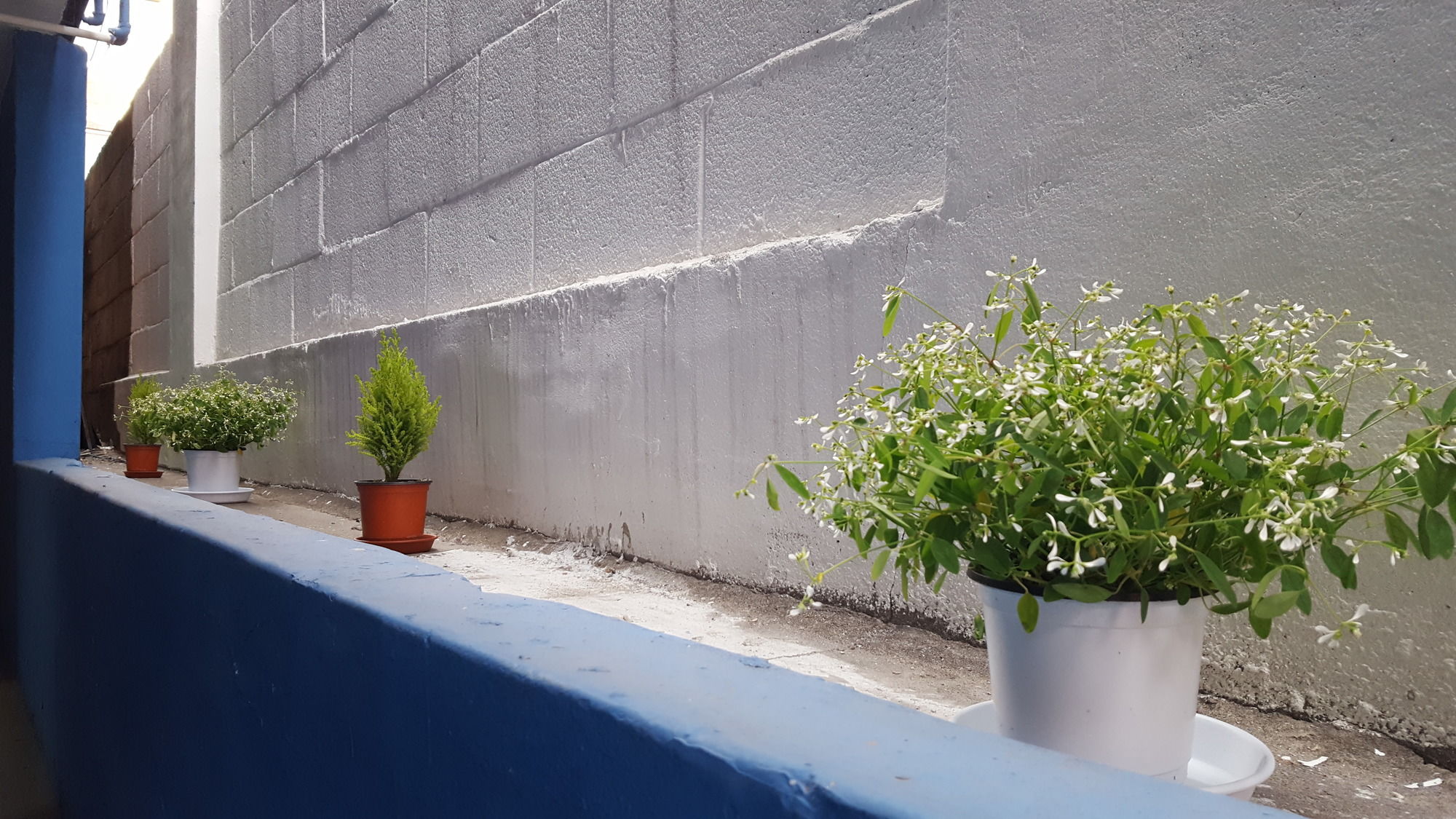 Seoul Forest Guesthouse