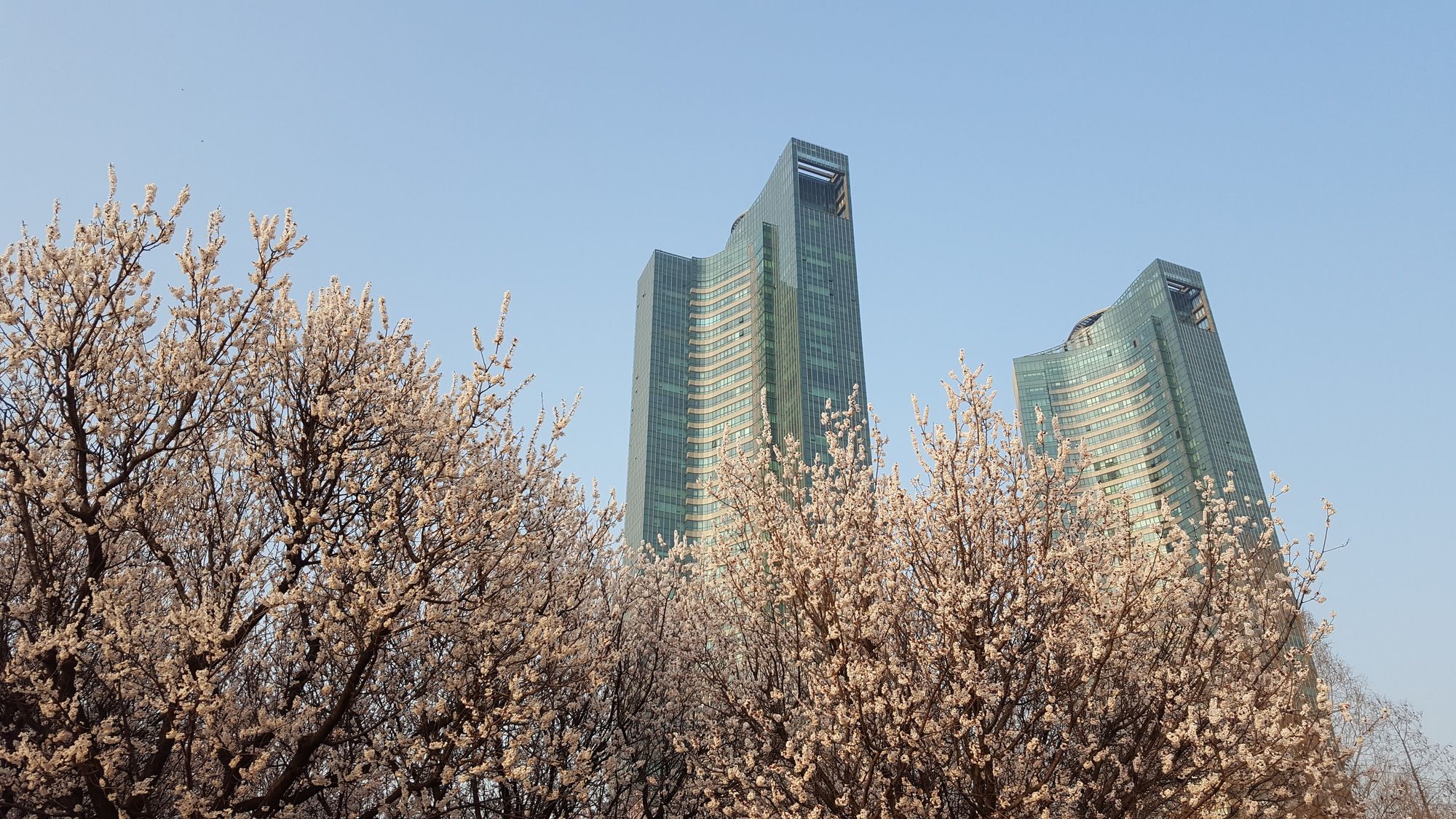 Seoul Forest Guesthouse