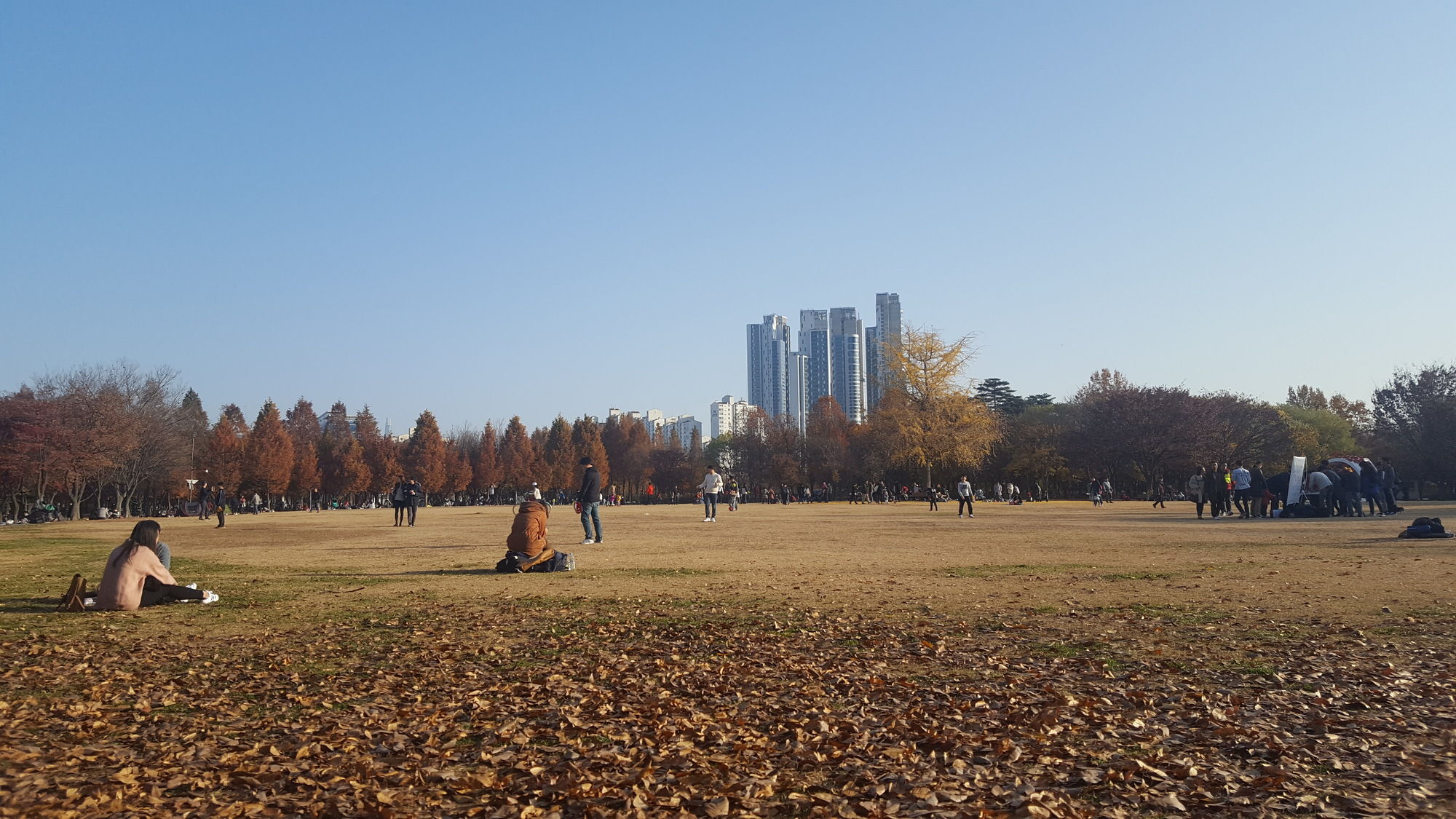 Seoul Forest Guesthouse