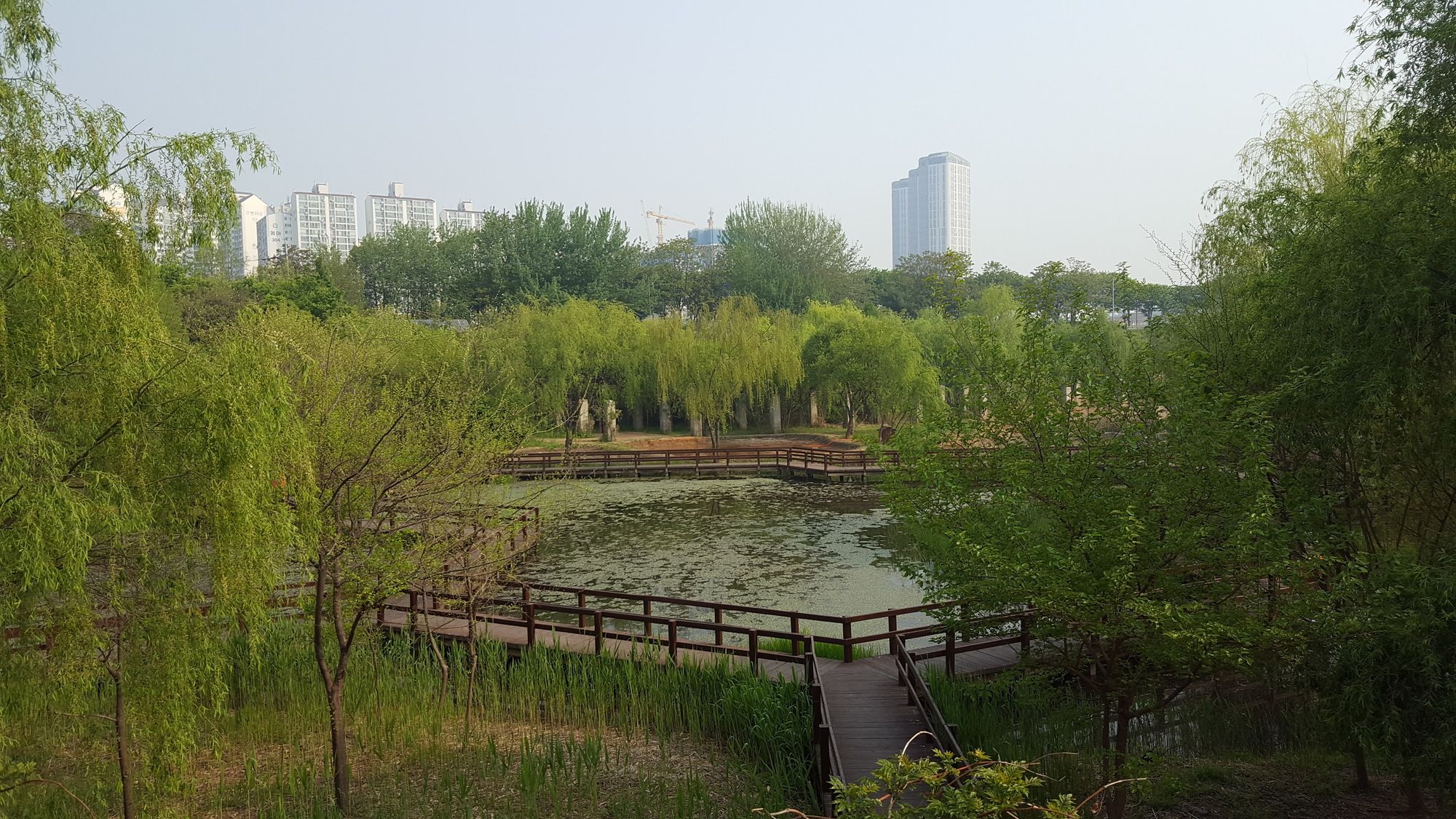 Seoul Forest Guesthouse