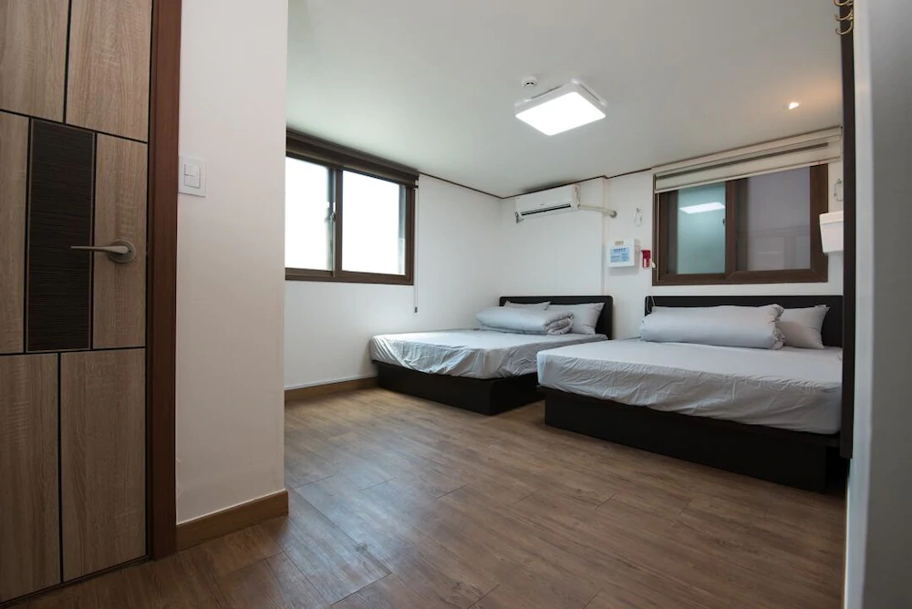 Olive Hostel