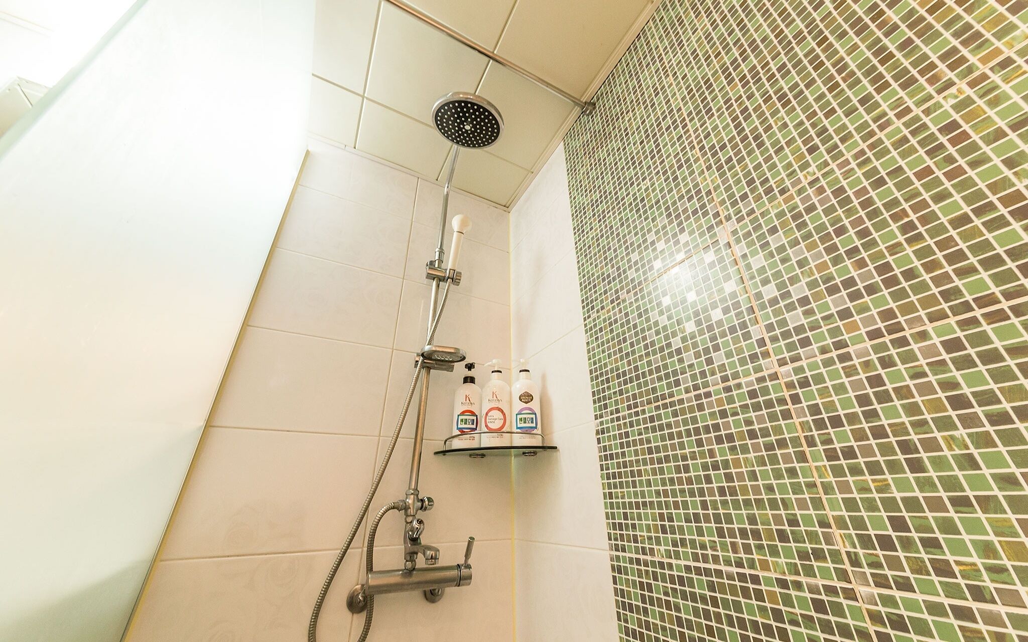 Seoul National University Angel