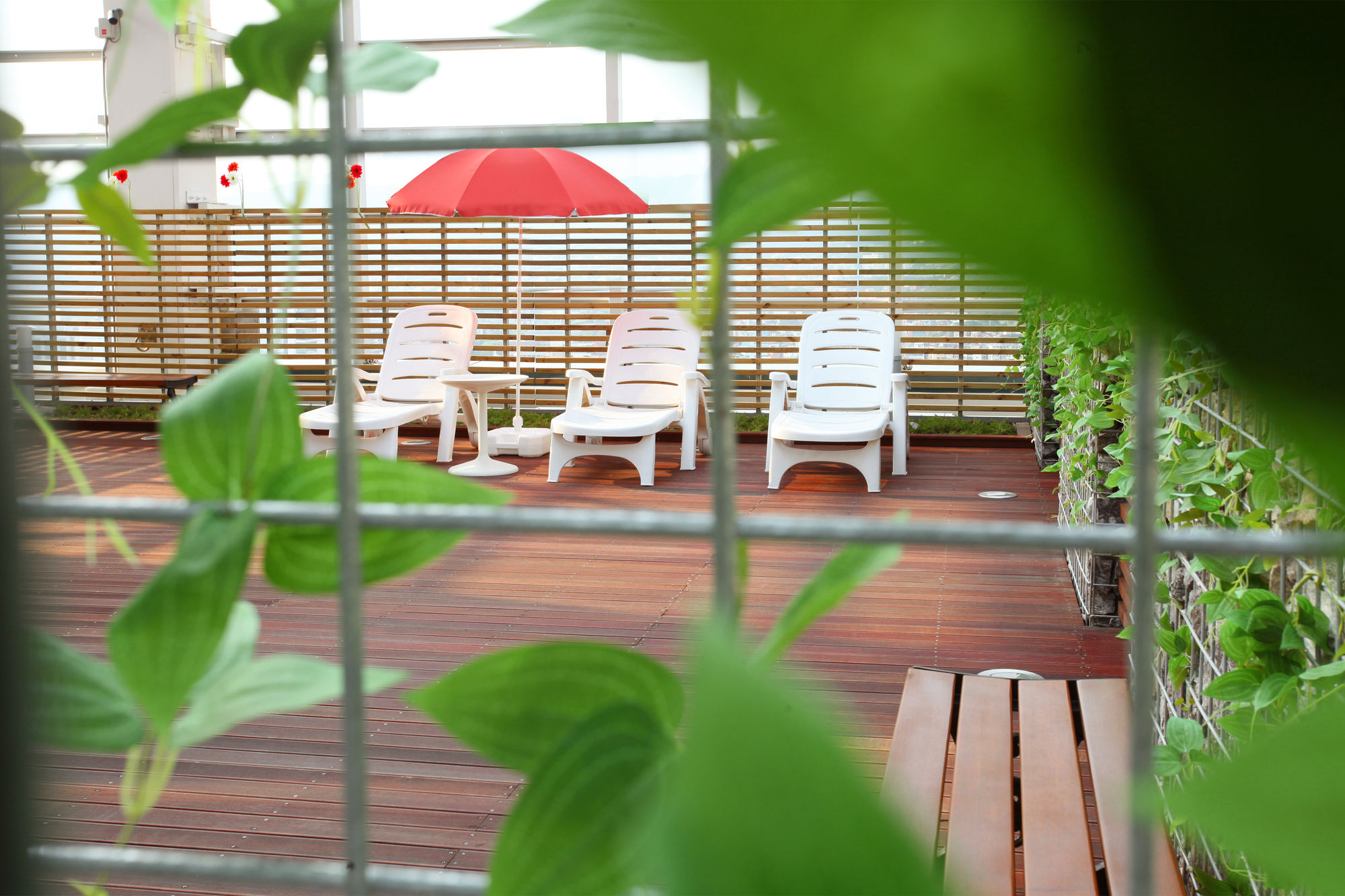 Skypark Kingstown Dongdaemun
