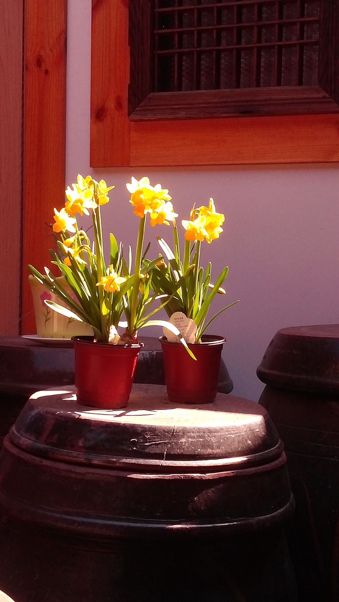 Sodam Hanok Guesthouse