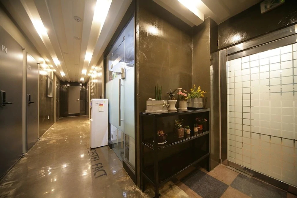 Stella Hostel