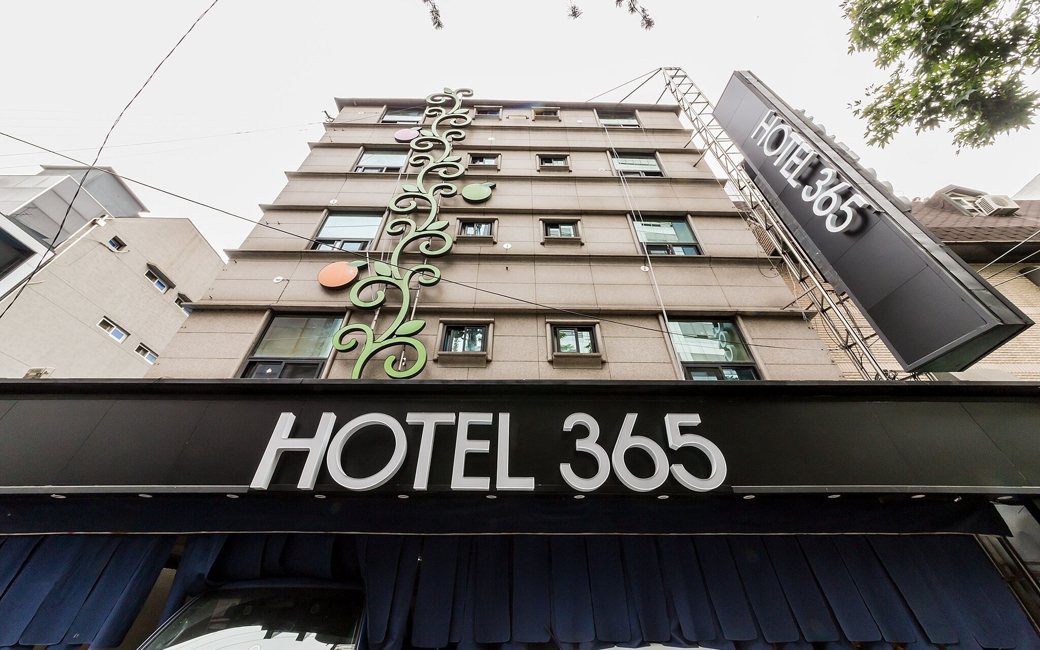 Suyu Hotel 365