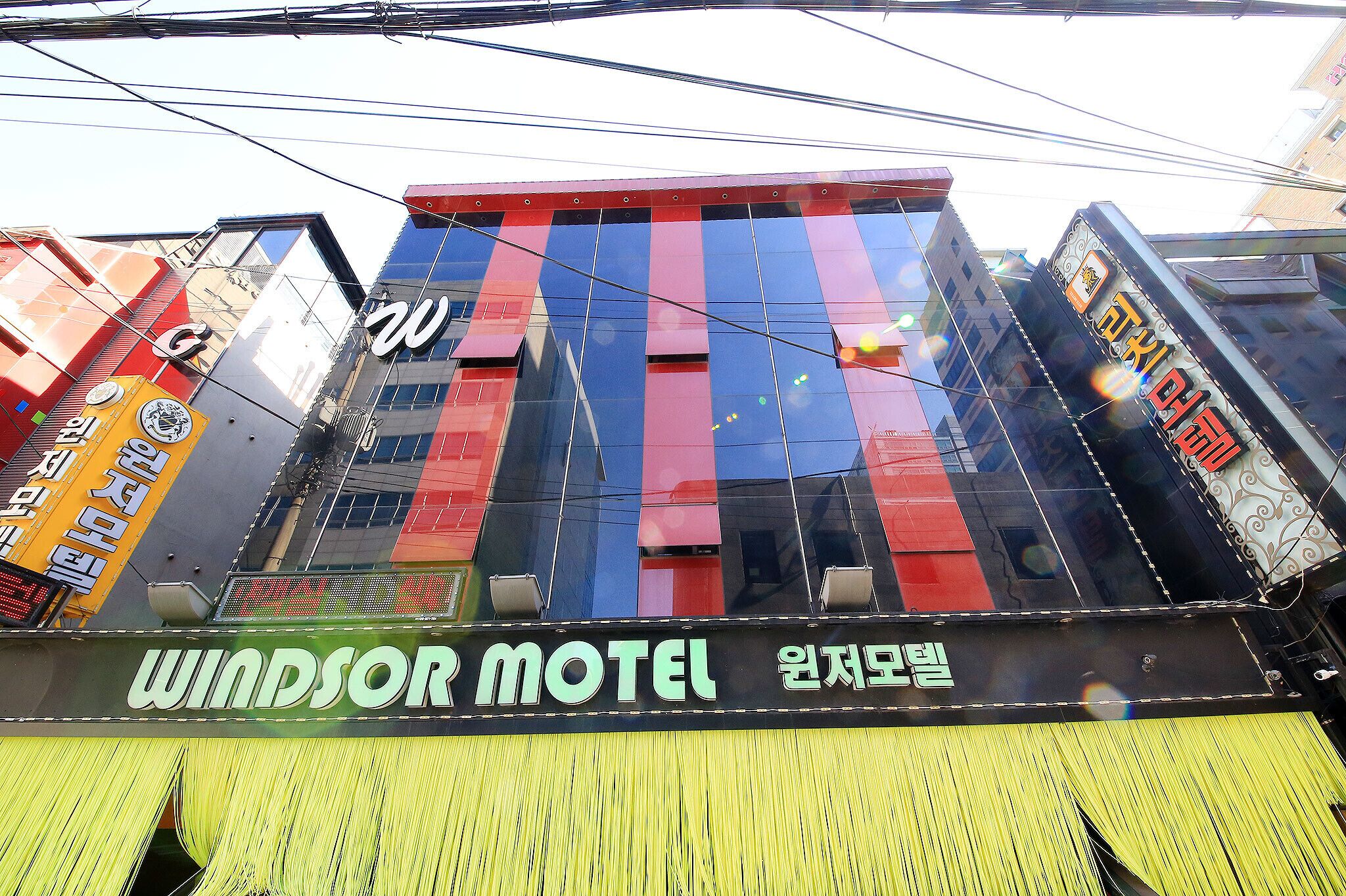 Suyu Windsor