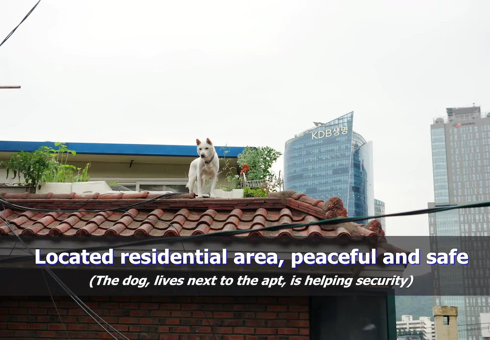 Ur Seoul Home