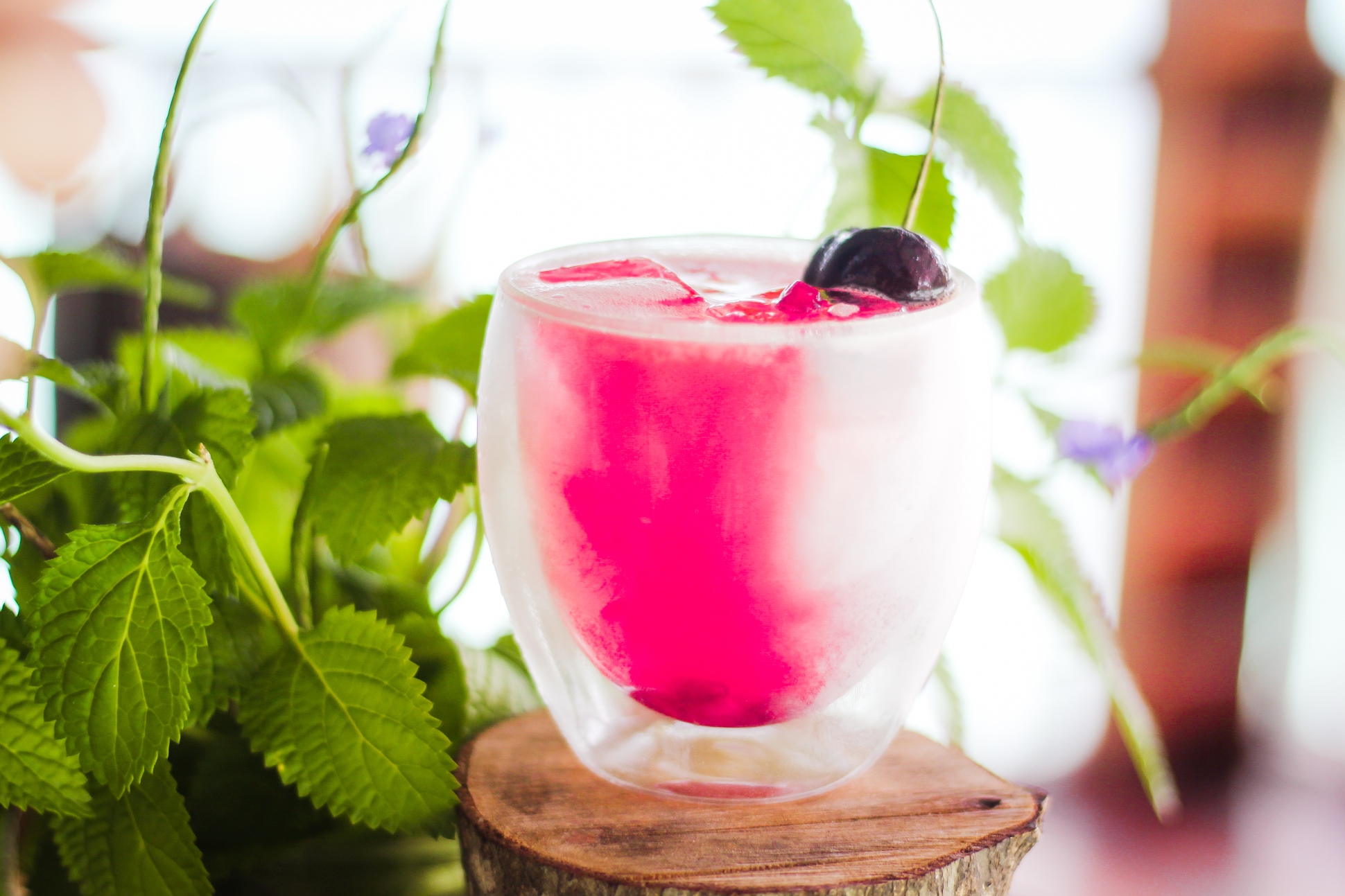 Walkerhill Douglas House