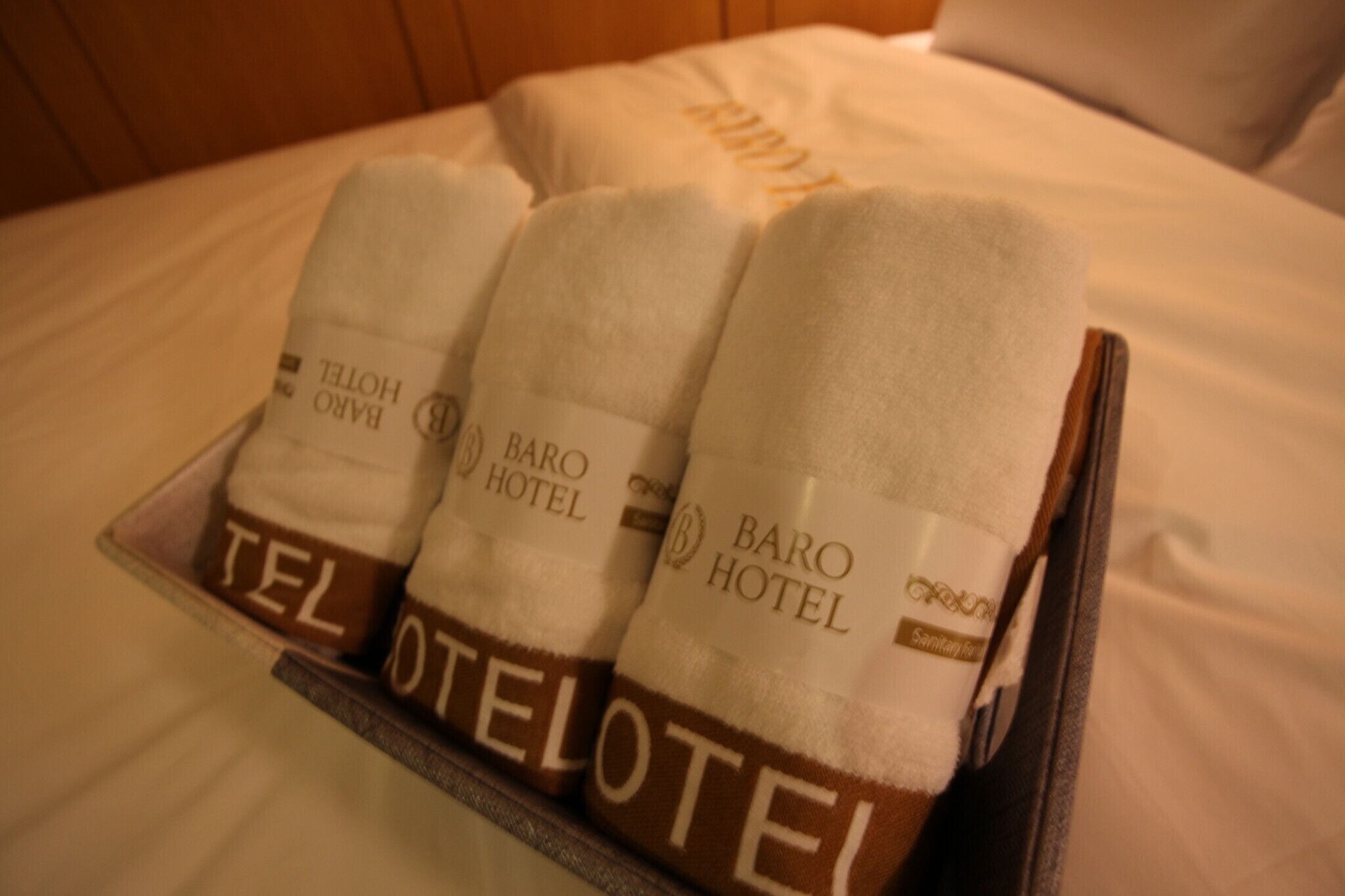 Wolgok Hotel Baro