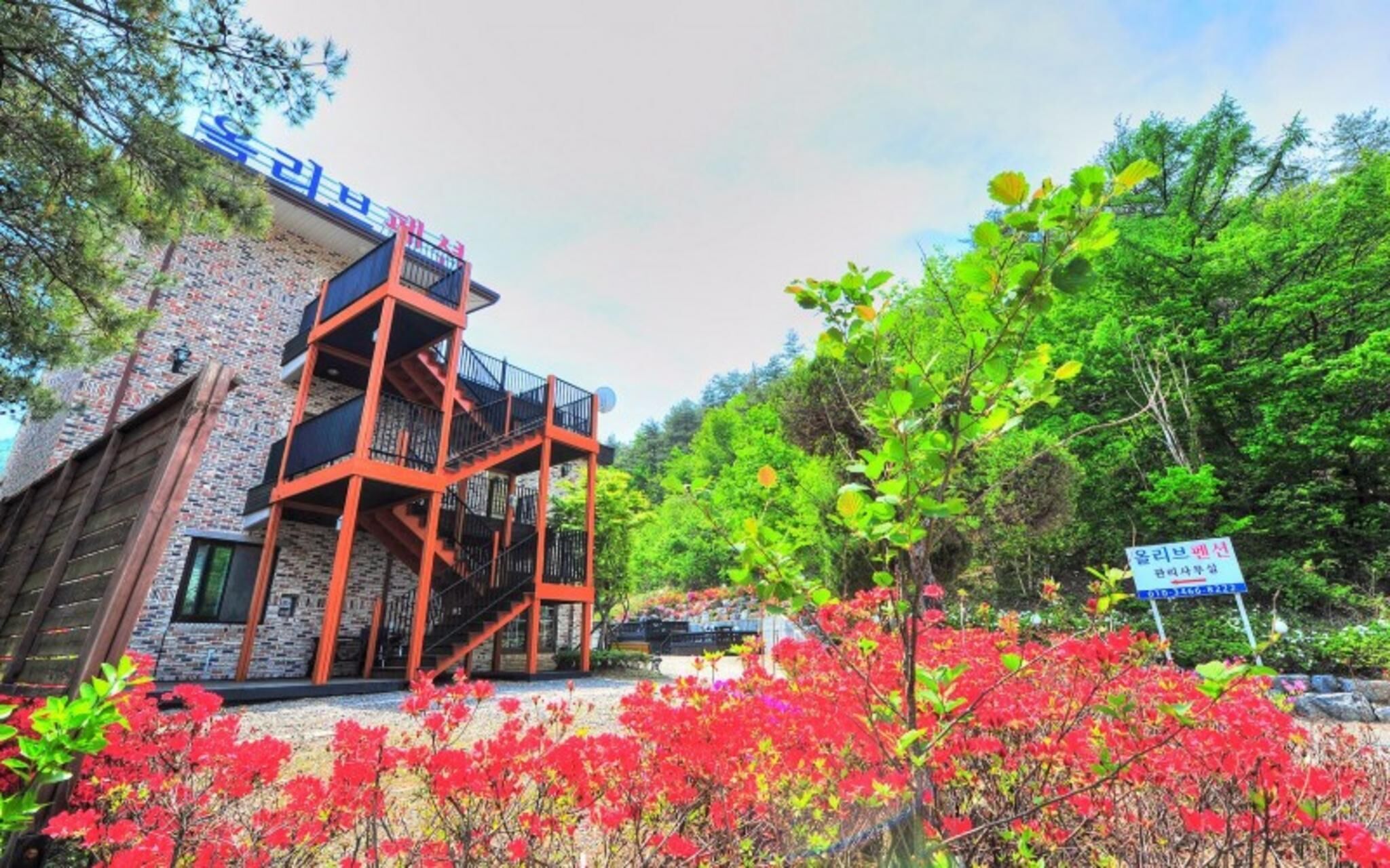 Pension Olive Spa