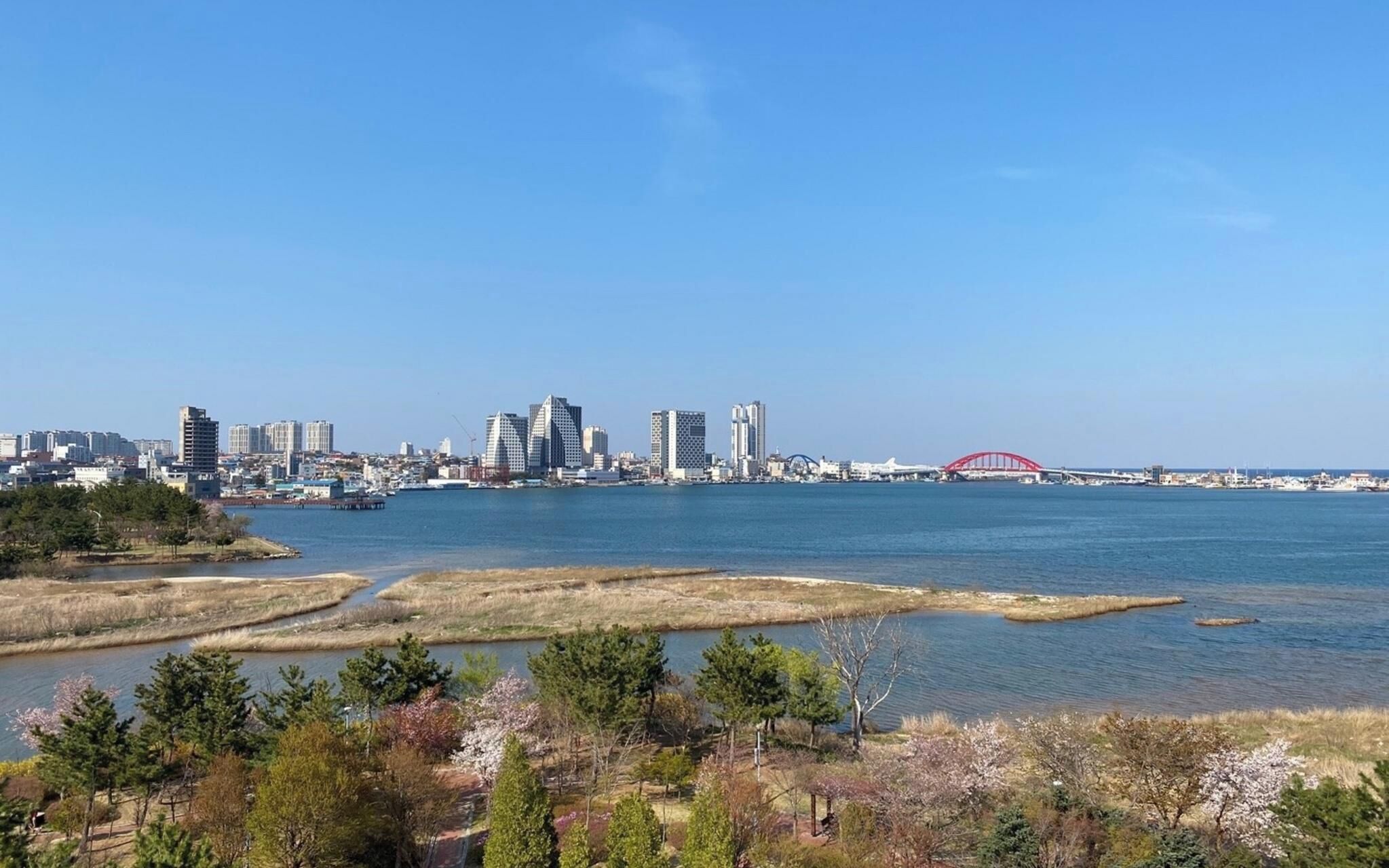 Sokcho Dragonfly Hotel