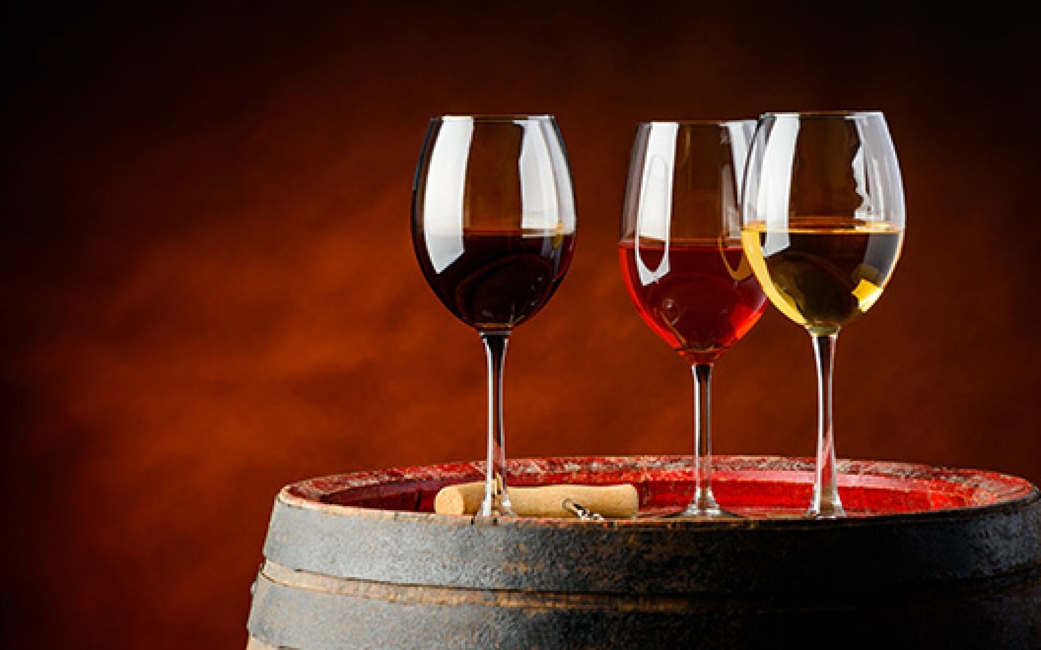 Sokcho Dragonfly Hotel