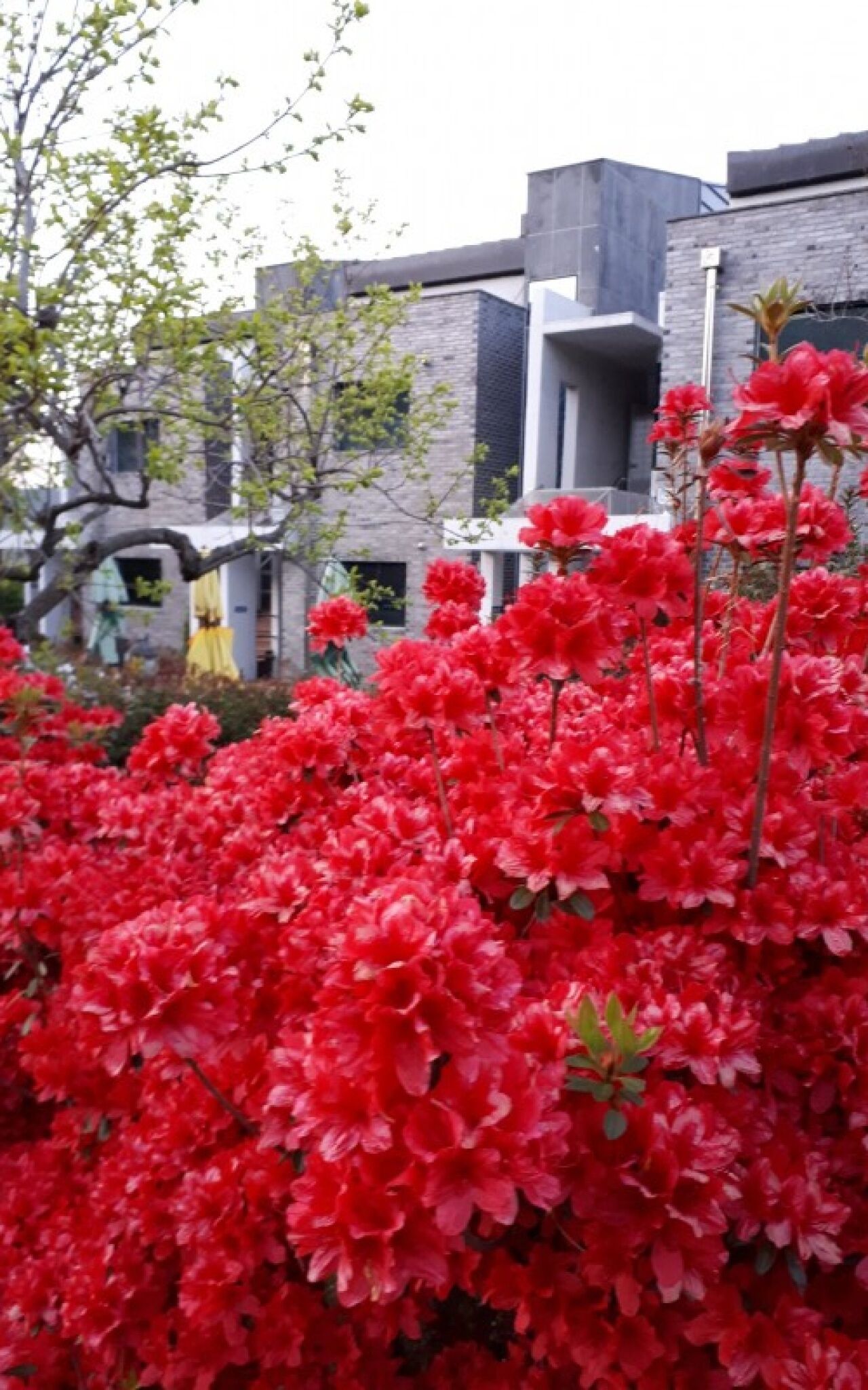 Sokcho Joyang Pension