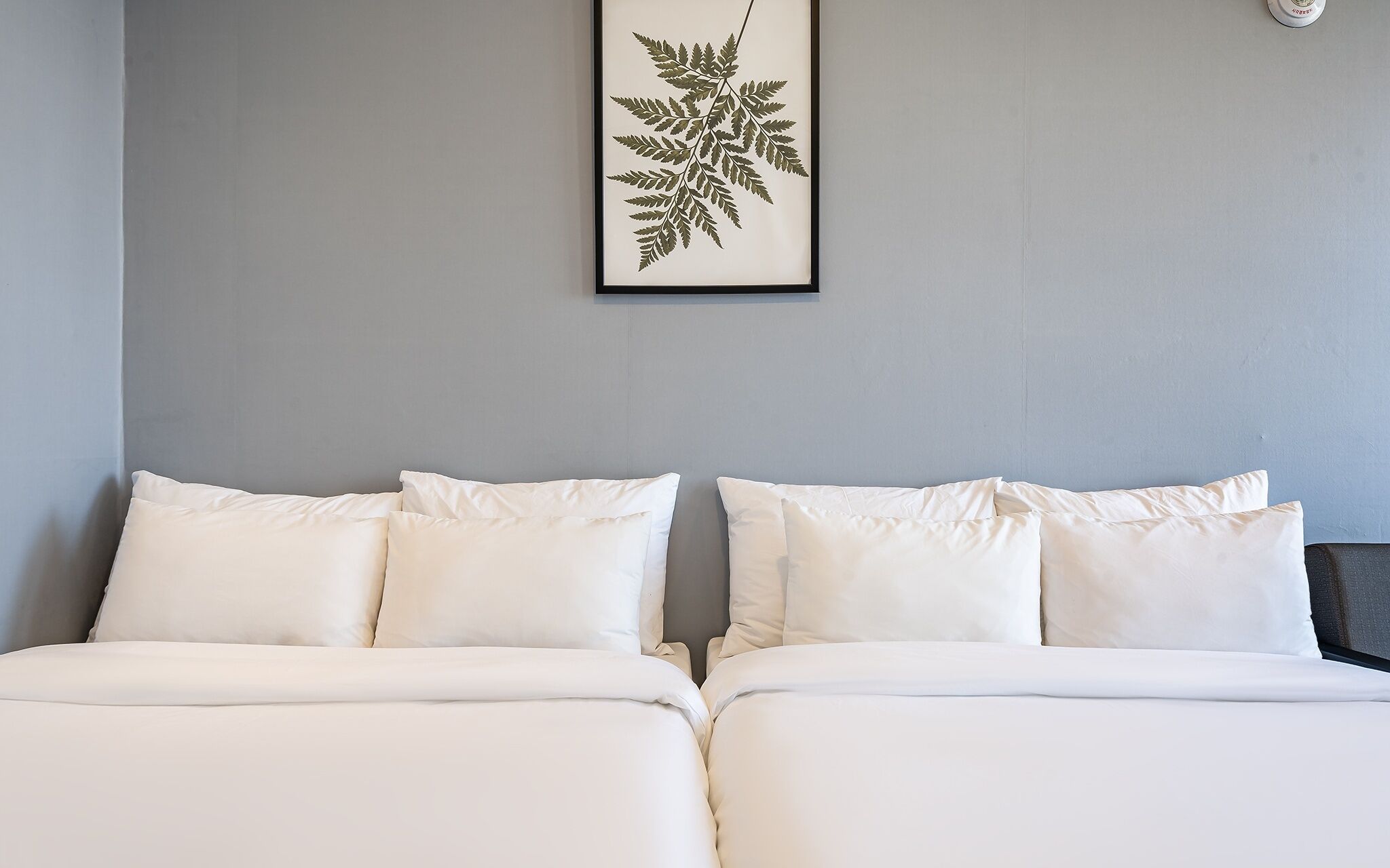 Sokcho Stay Hotel