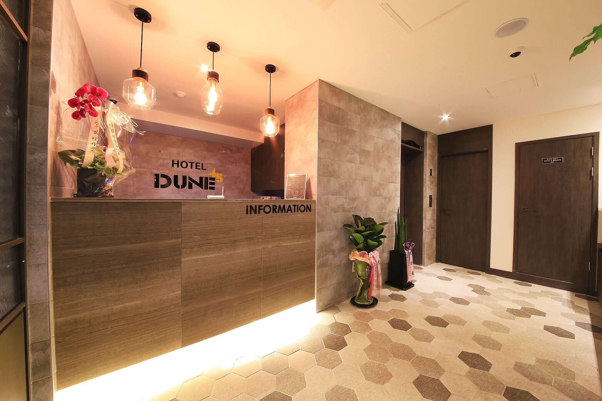 Dune45