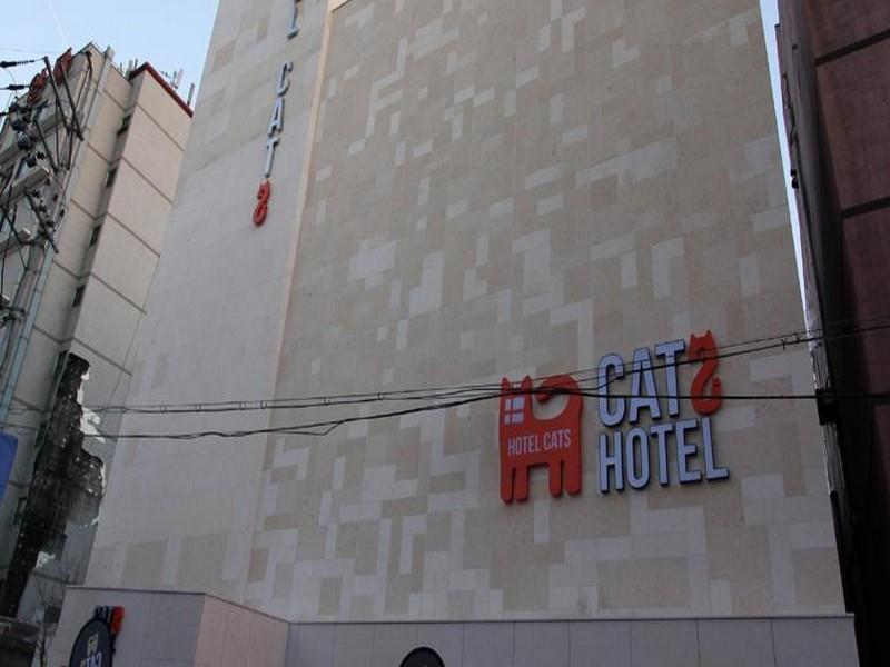 Hotel Cats Suwon