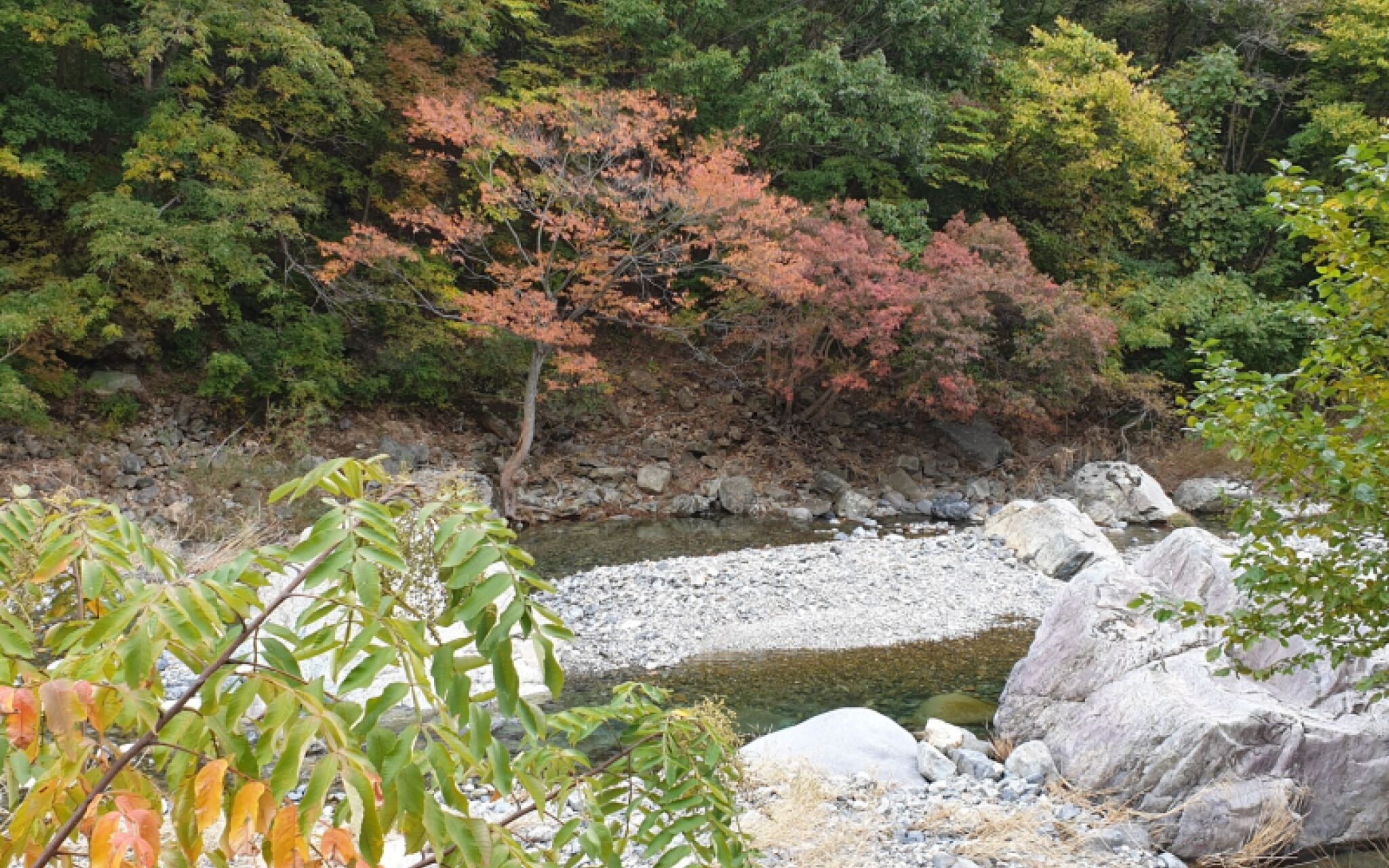 Ulsan Art and Pension