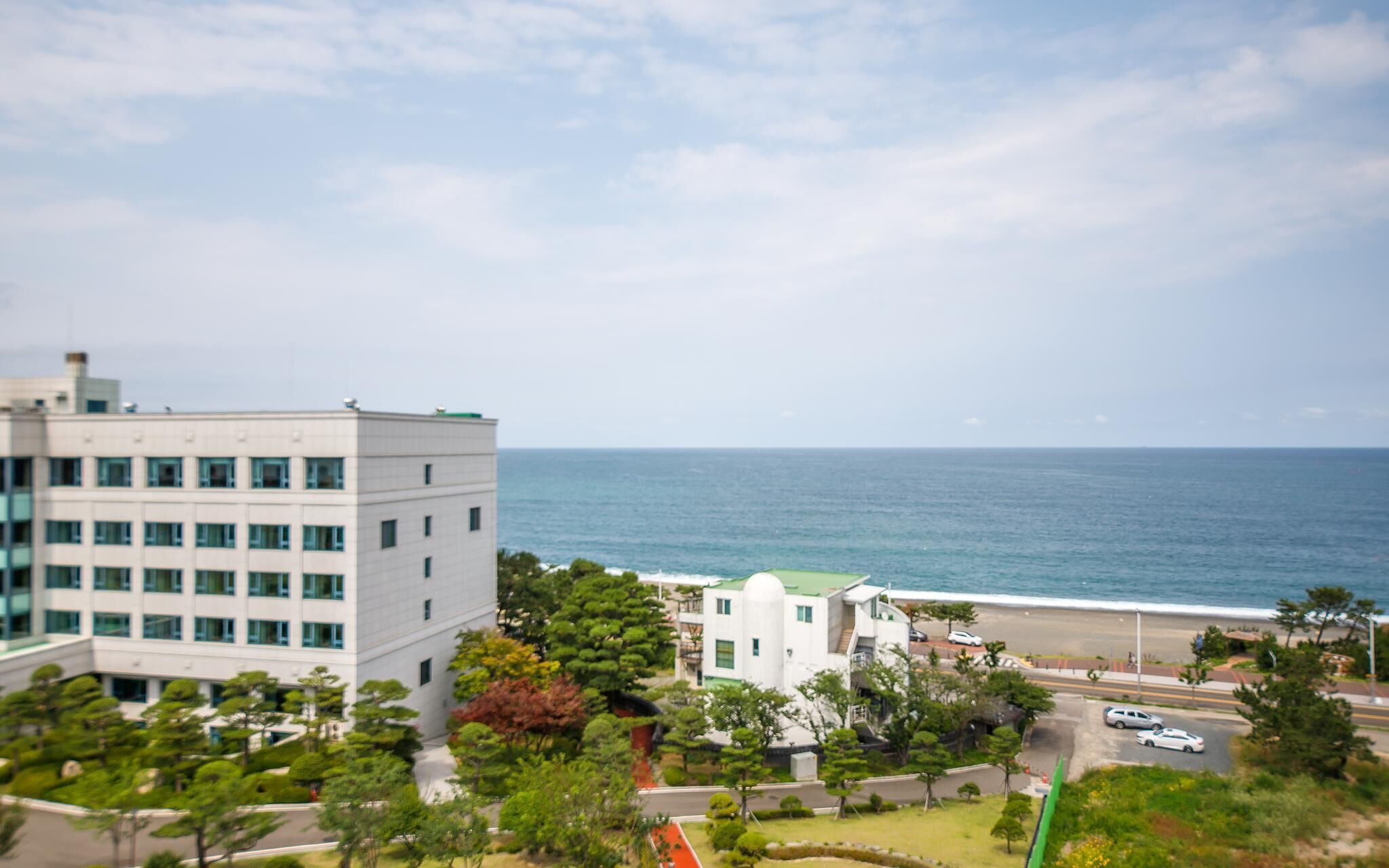 Ulsan Some Hotel