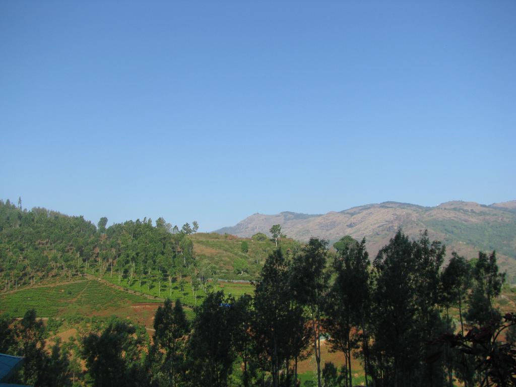 Oak Valley Resort