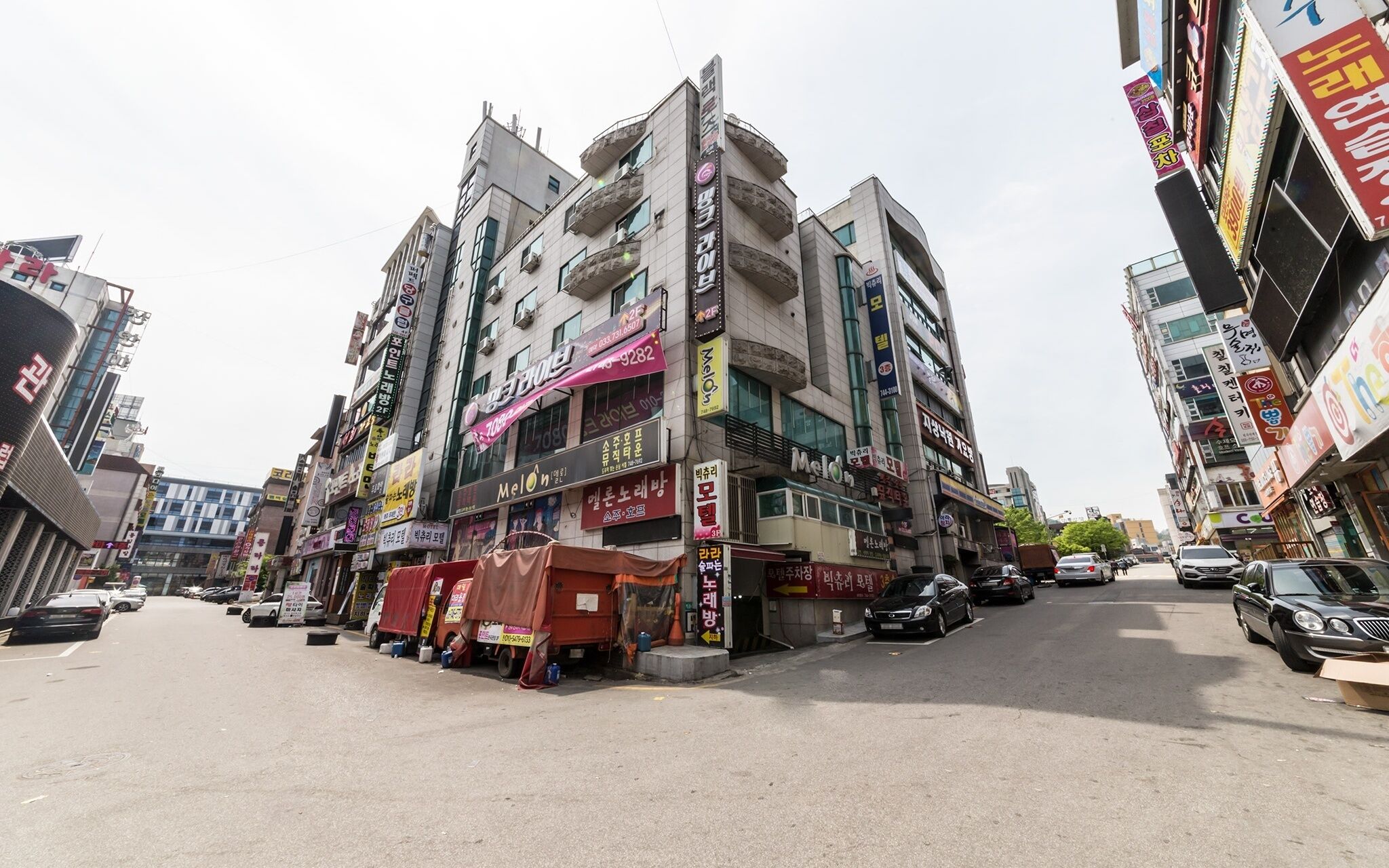 Wonju Big Tree