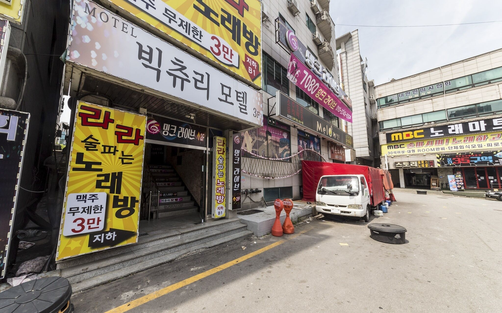 Wonju Big Tree