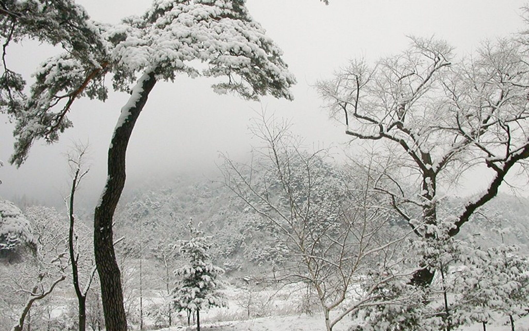 Wonju Chiaksan Juryeongol Pension