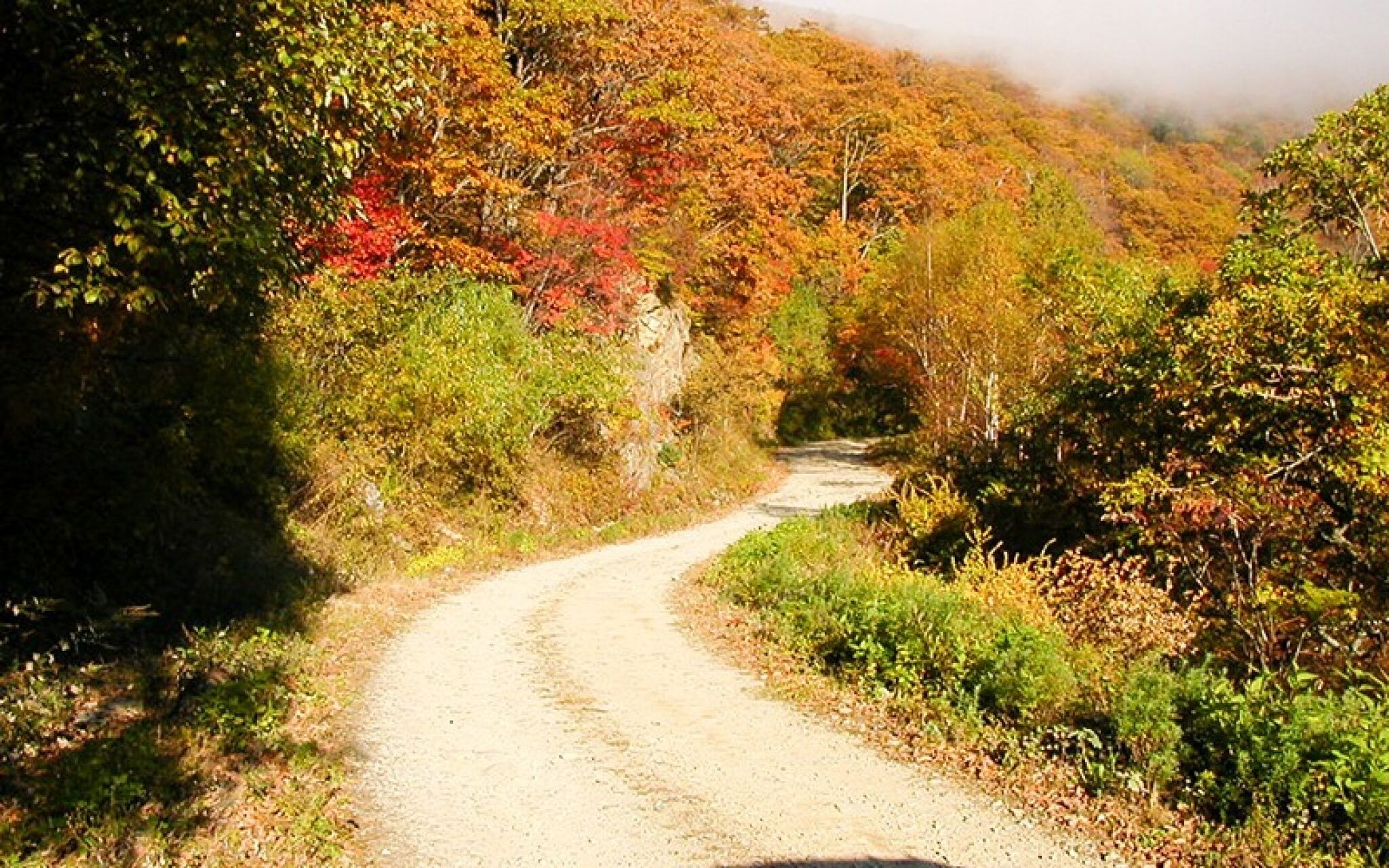 Wonju Chiaksan Juryeongol Pension