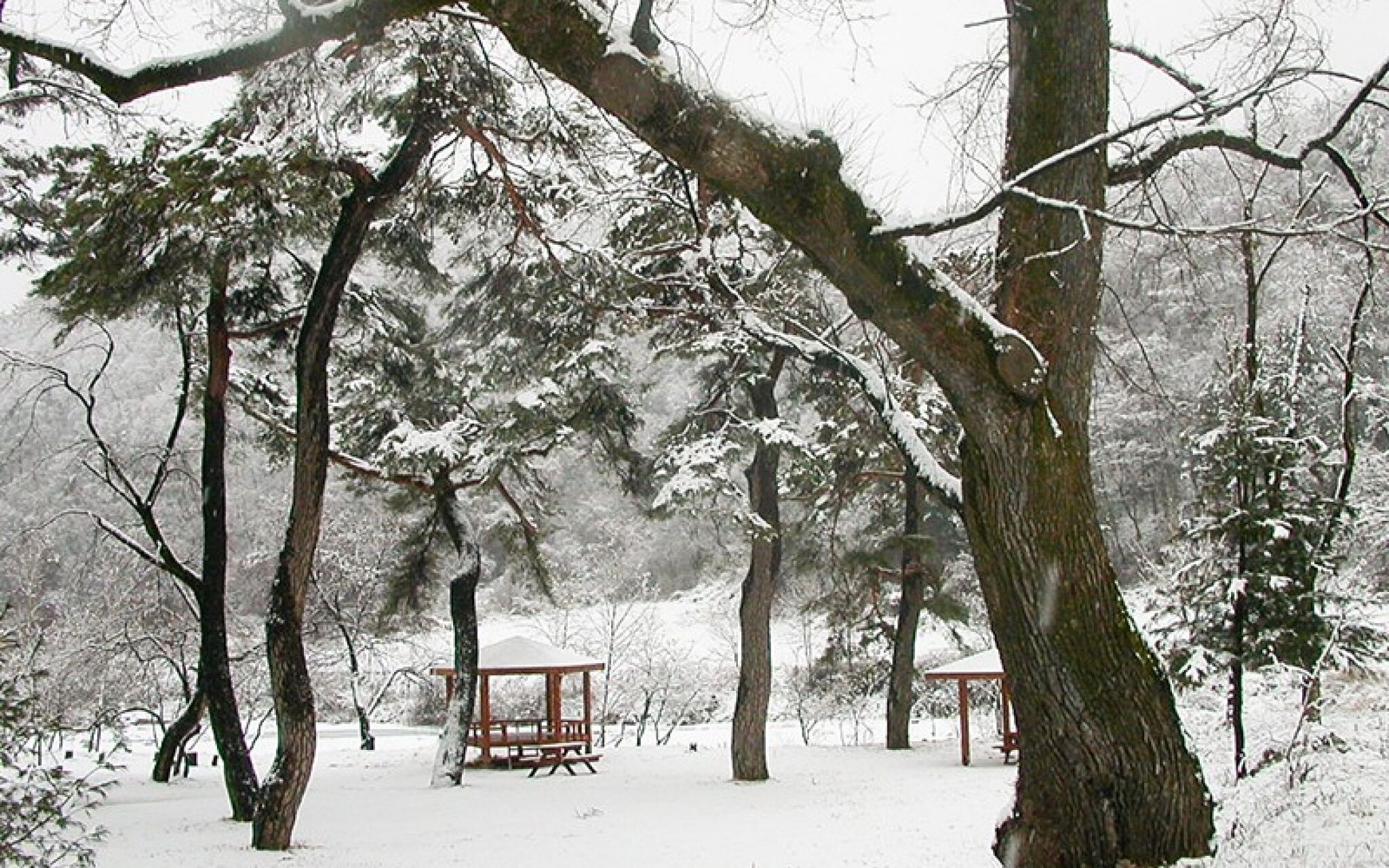 Wonju Chiaksan Juryeongol Pension