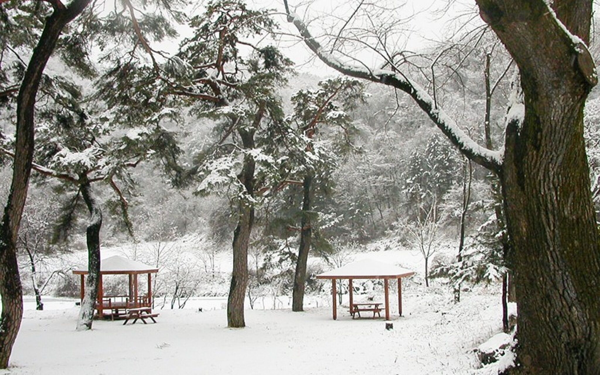 Wonju Chiaksan Juryeongol Pension
