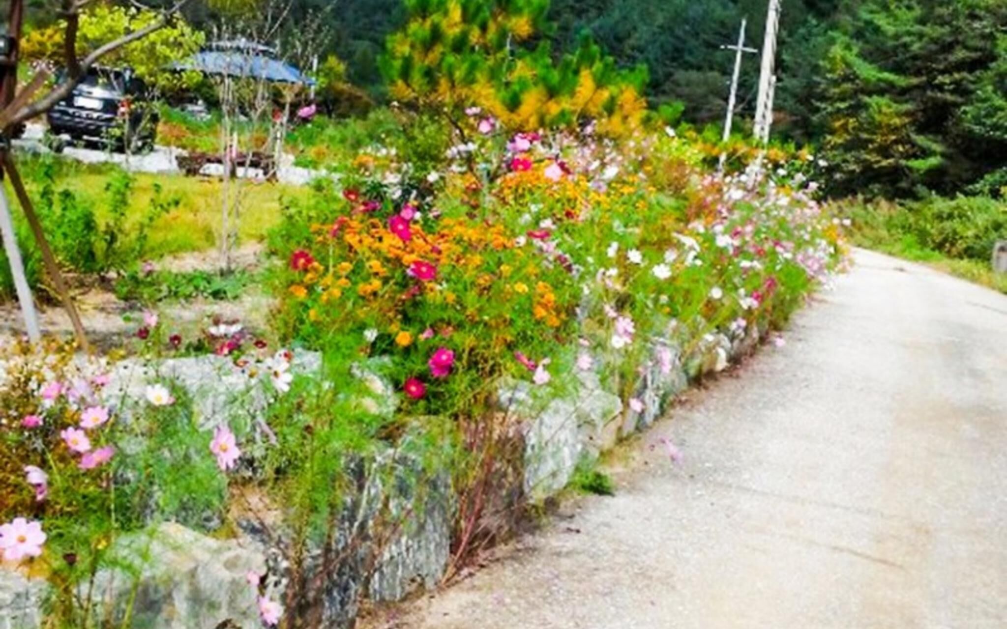 Wonju Gamaksan Hwangtobang Pension