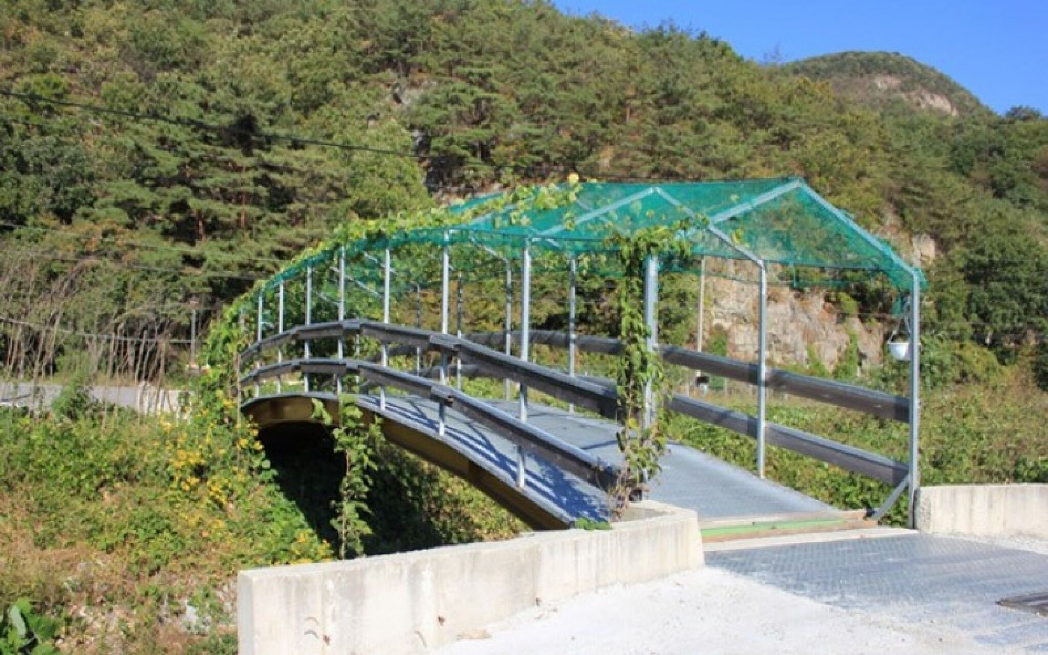 Wonju Yokbawi Pension