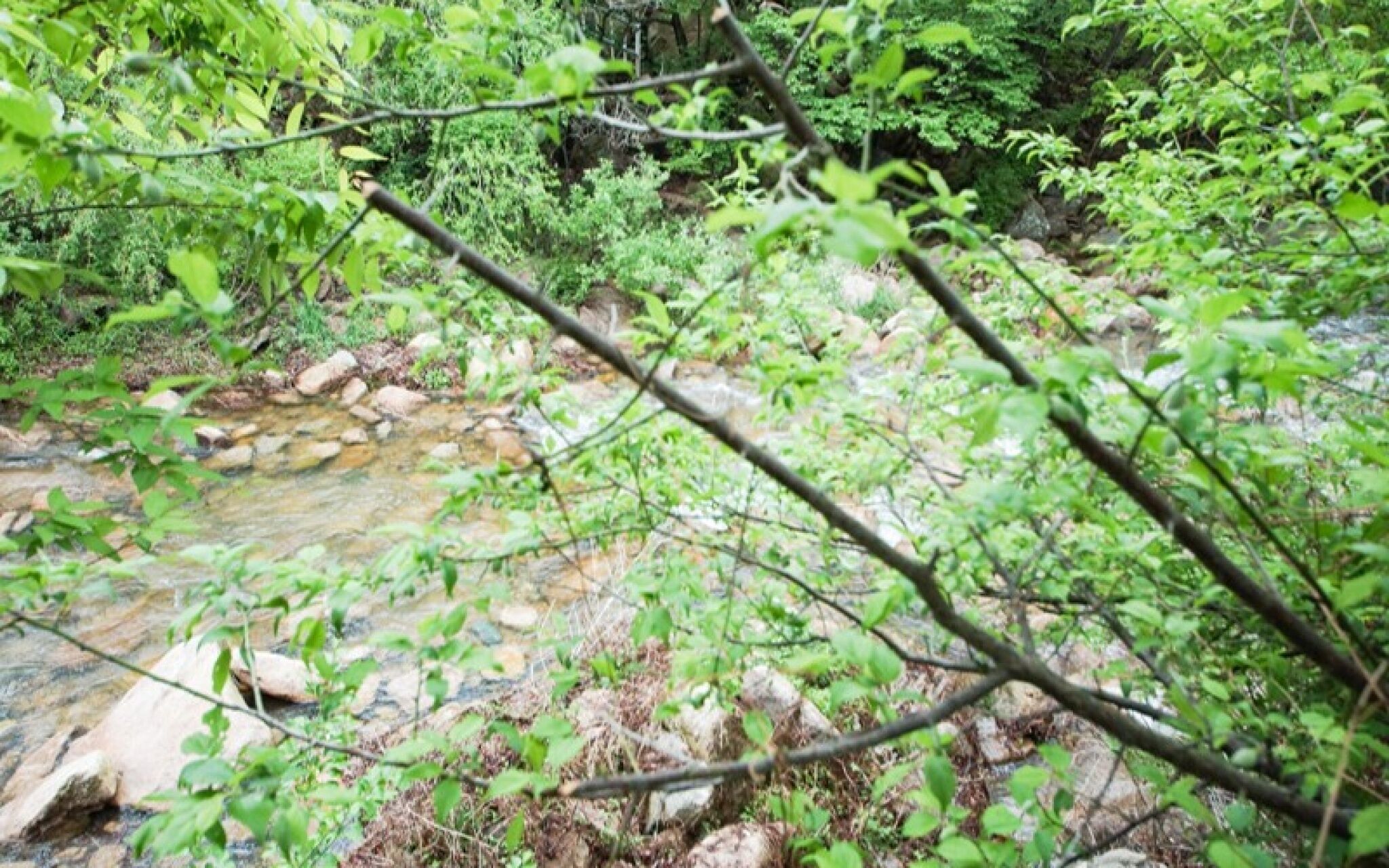 Yagnsan Norway Pension