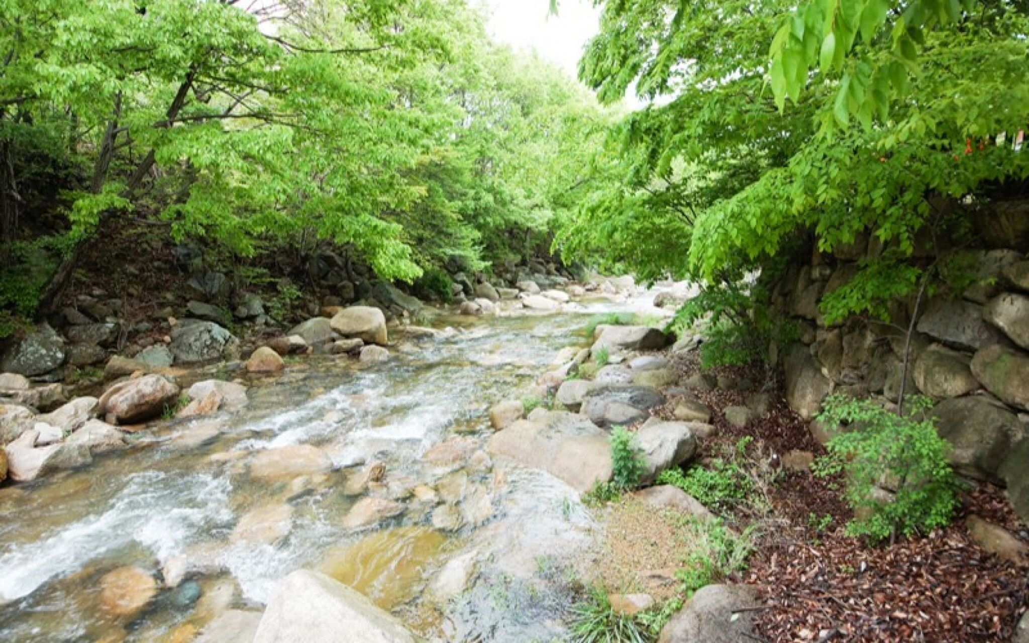 Yagnsan Norway Pension