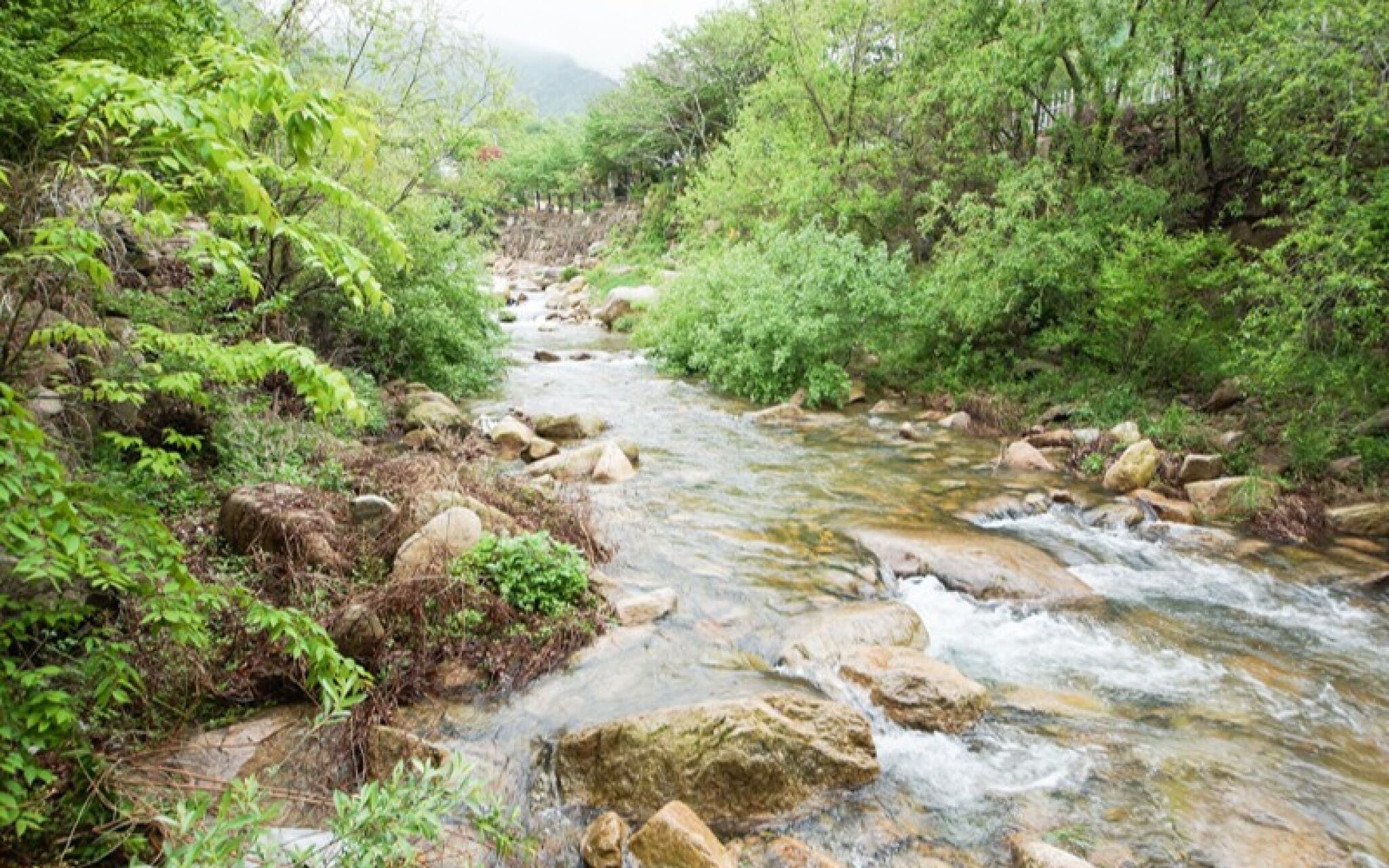 Yagnsan Norway Pension