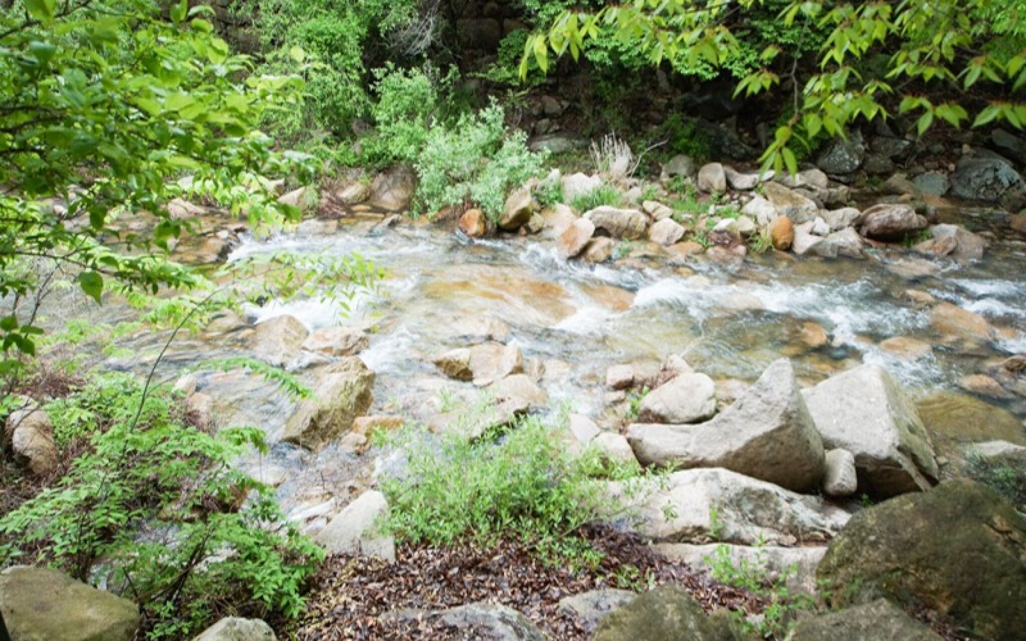 Yagnsan Norway Pension