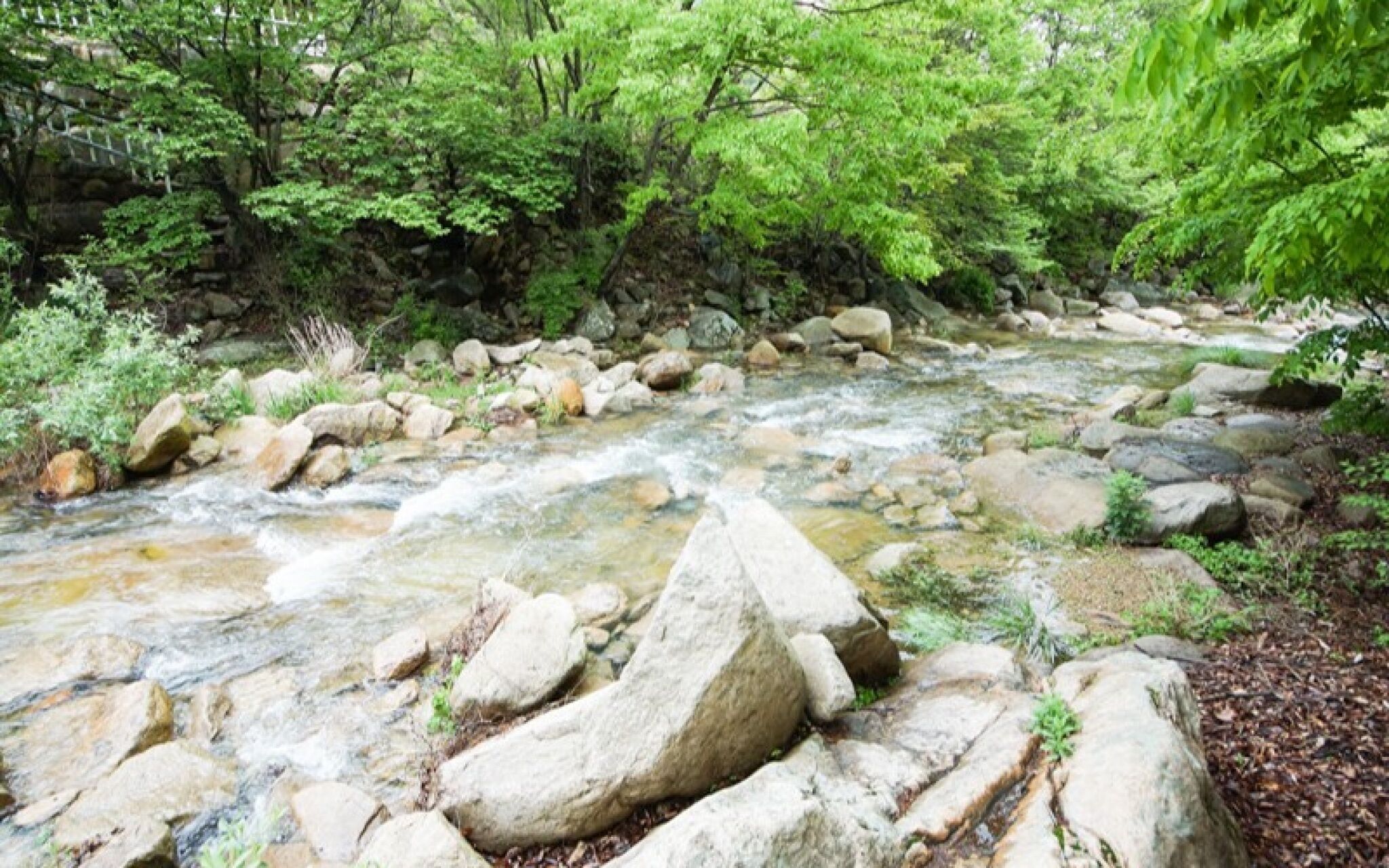 Yagnsan Norway Pension