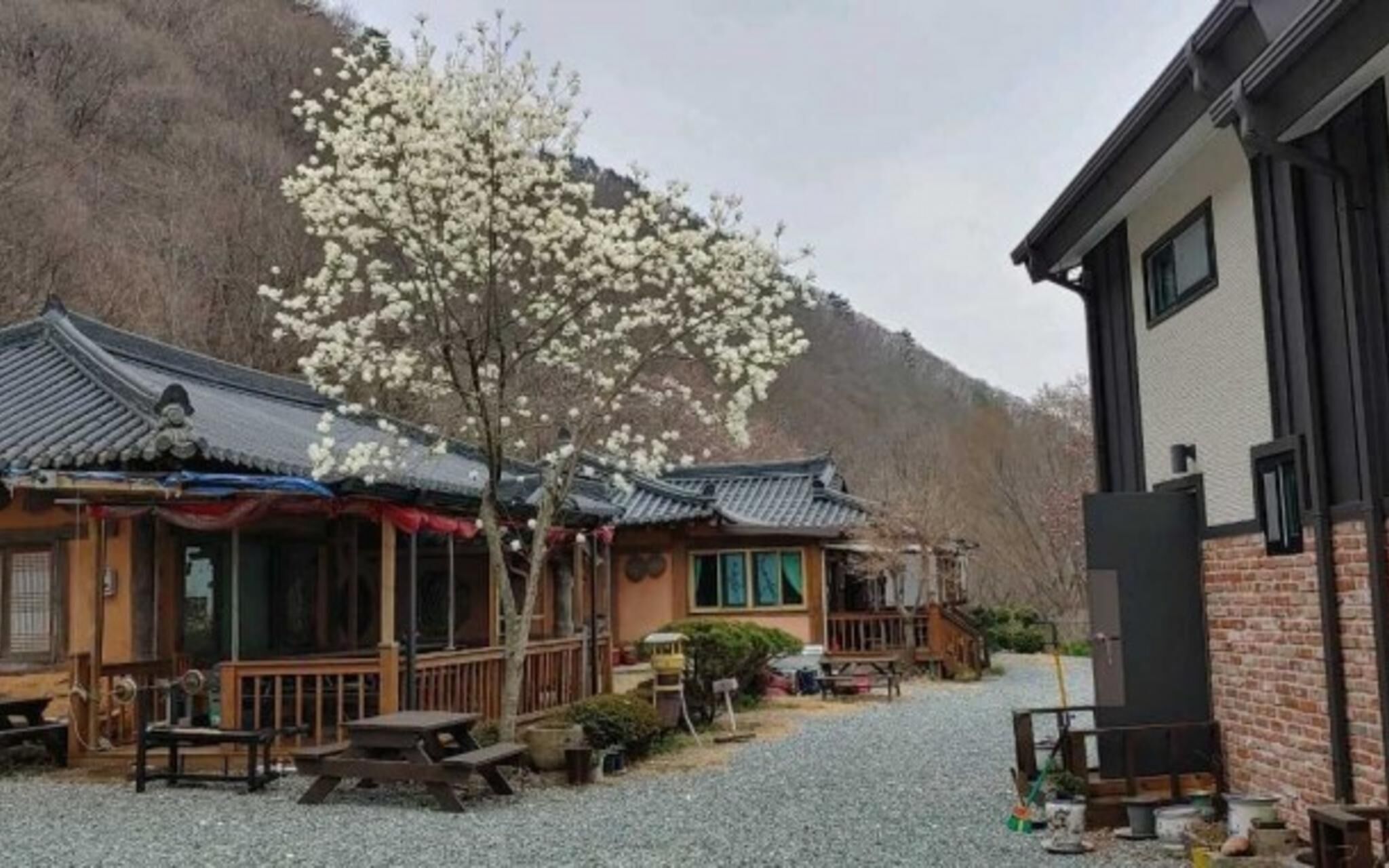 Yangsan Dainchon Pension