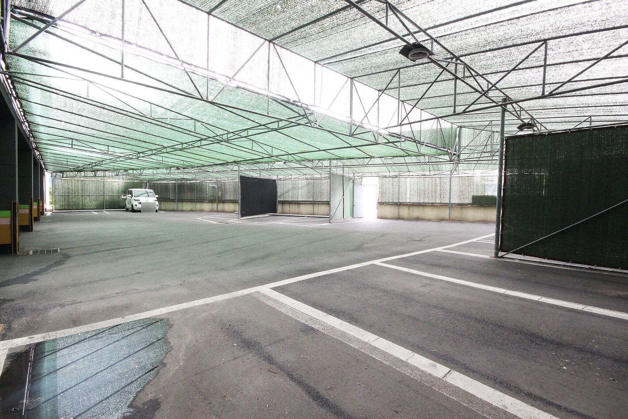 Yangsan Deokgye Show